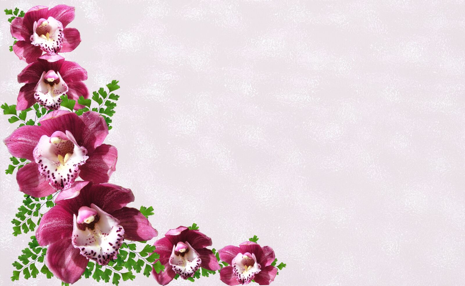 Panasonic Lumix DMC-FZ28 sample photo. Greeting card, orchids, celebration photography