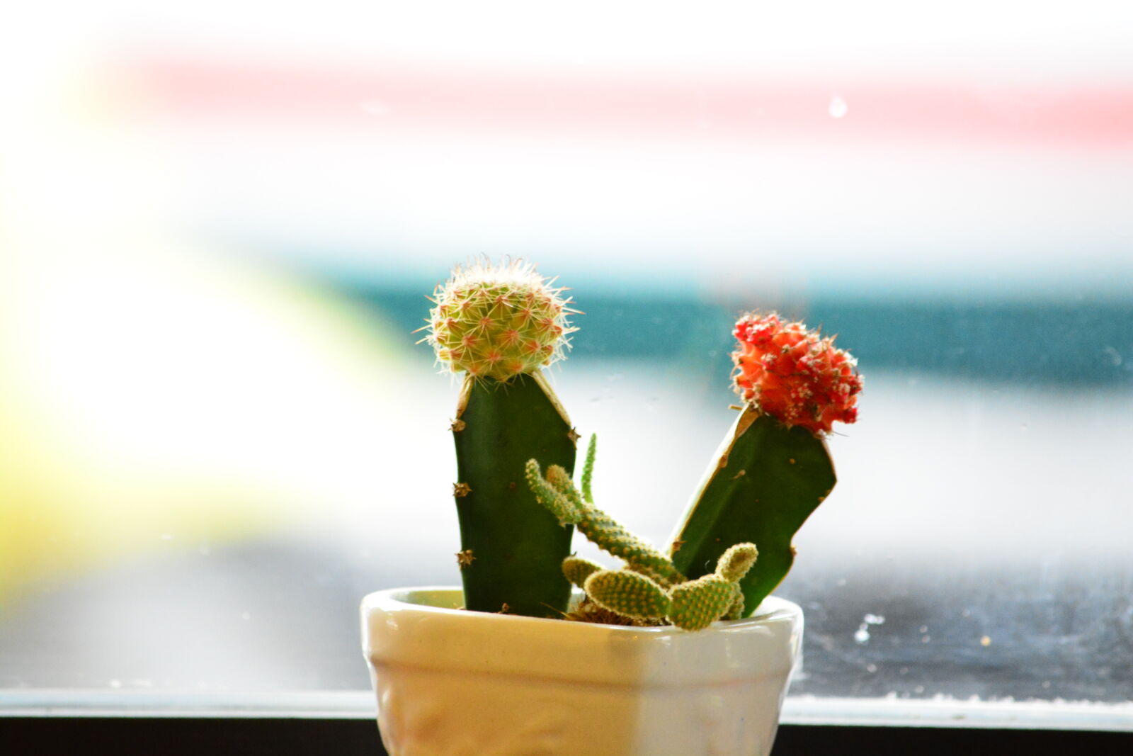 Nikon D7100 sample photo