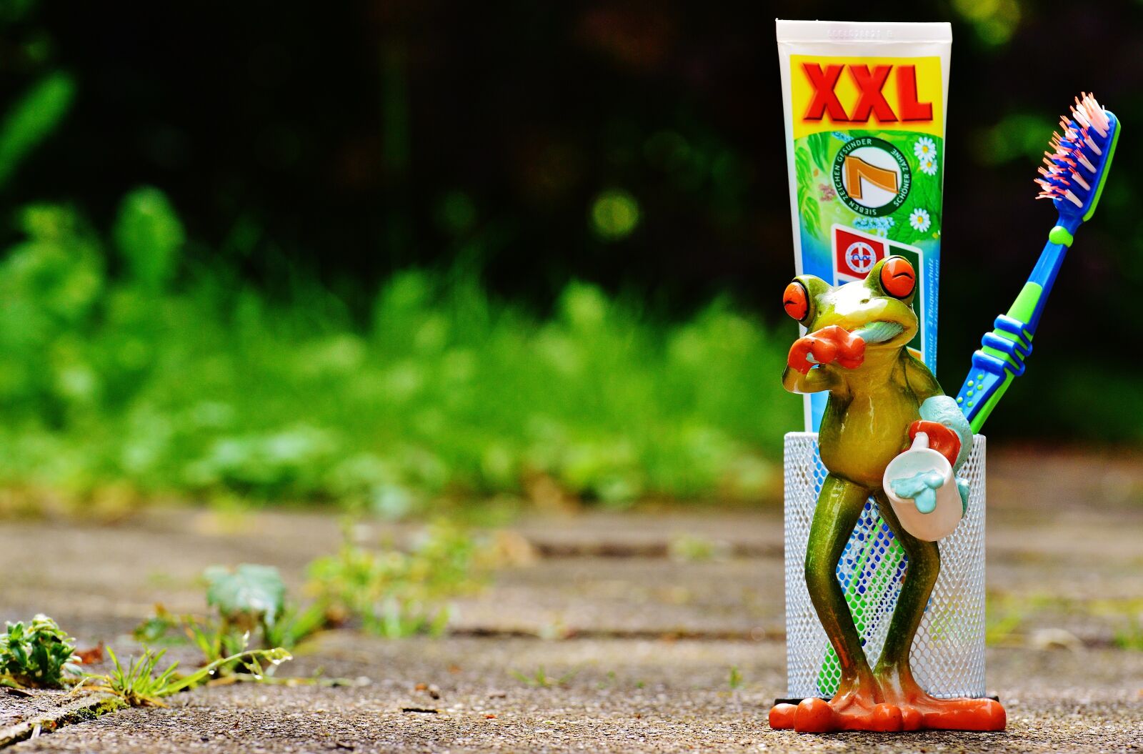 Nikon D3200 sample photo. Toothpaste, frog, toothbrush photography