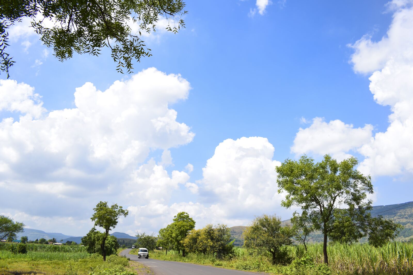Nikon D5600 sample photo. Sky, nature, clouds photography