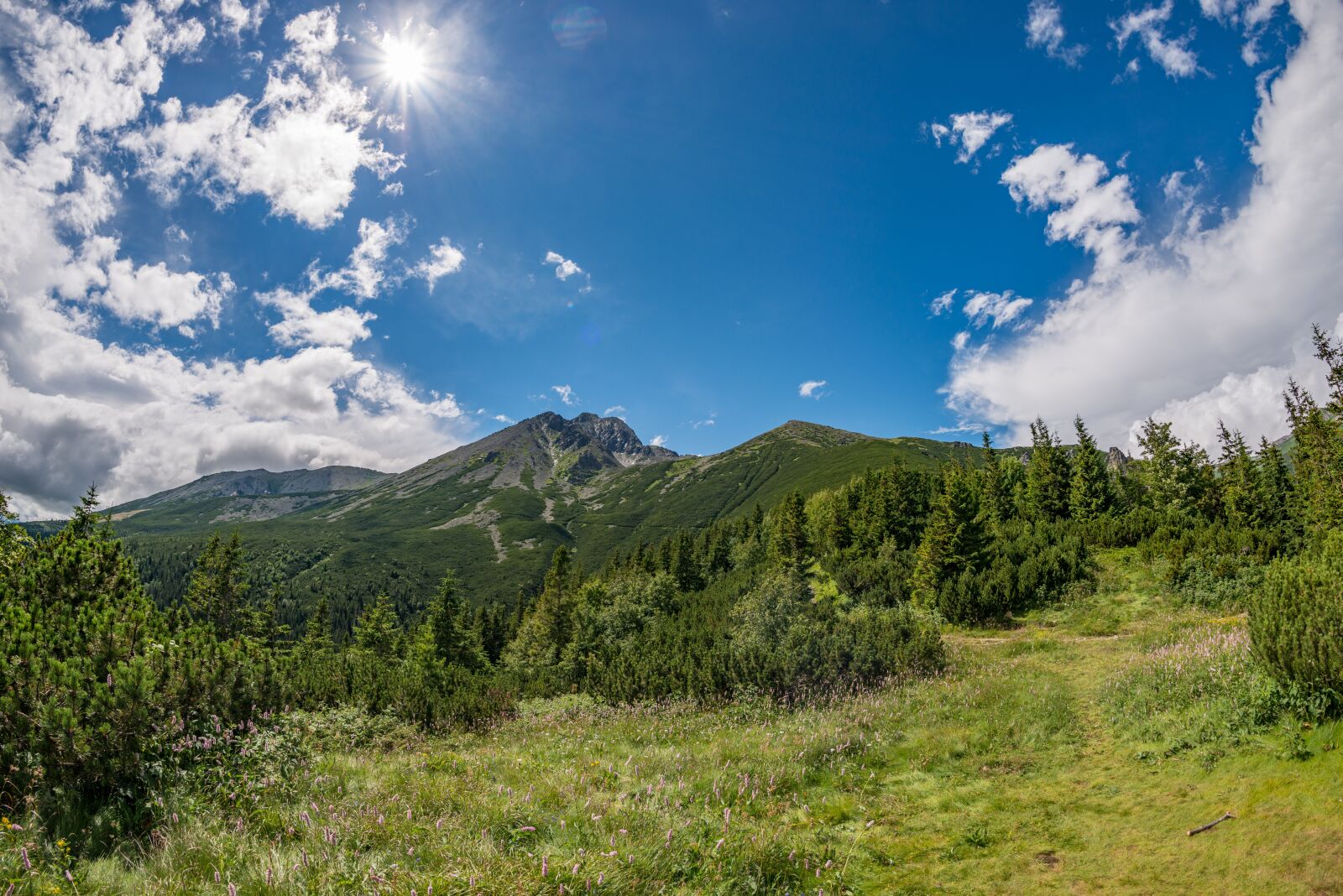 Nikon D800E sample photo. Tatras, mountains, nature photography