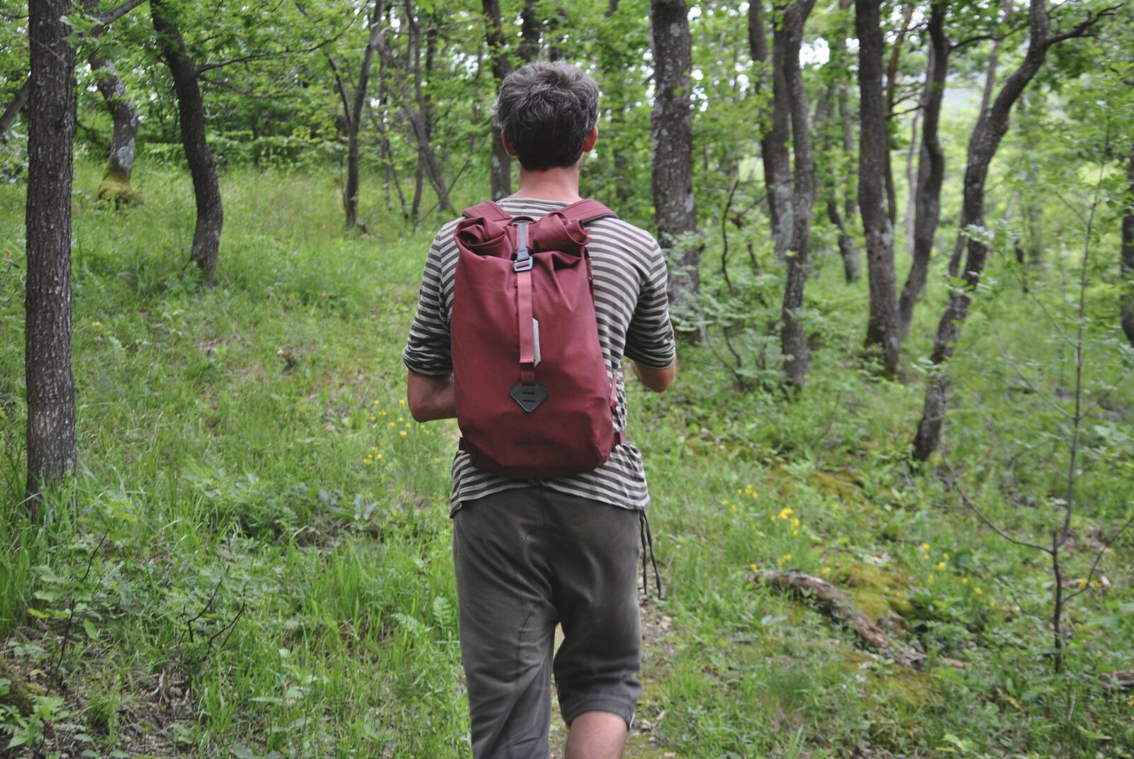 Nikon D3000 sample photo. Backpack, forest, green, hike photography