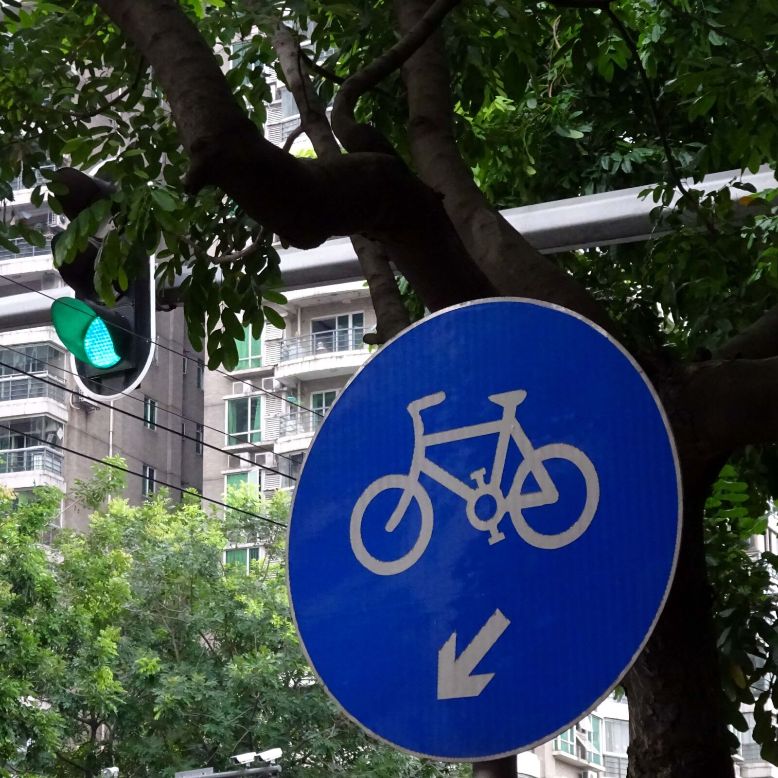 Sony Cyber-shot DSC-WX350 sample photo. Sign photography