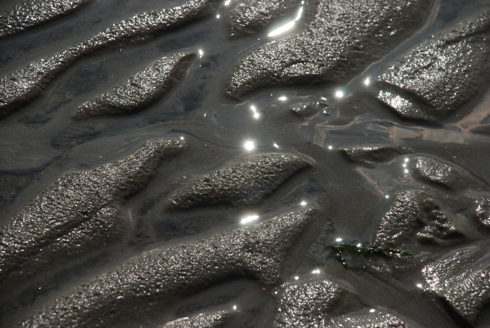 Nikon D80 sample photo. Background, texture, close up photography