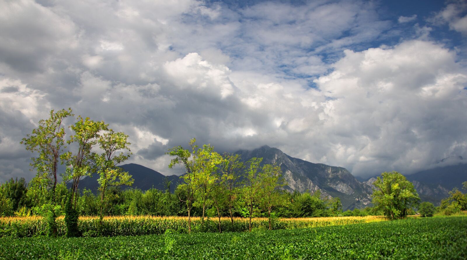 Nikon D90 sample photo. Landscape, mountains, the alps photography