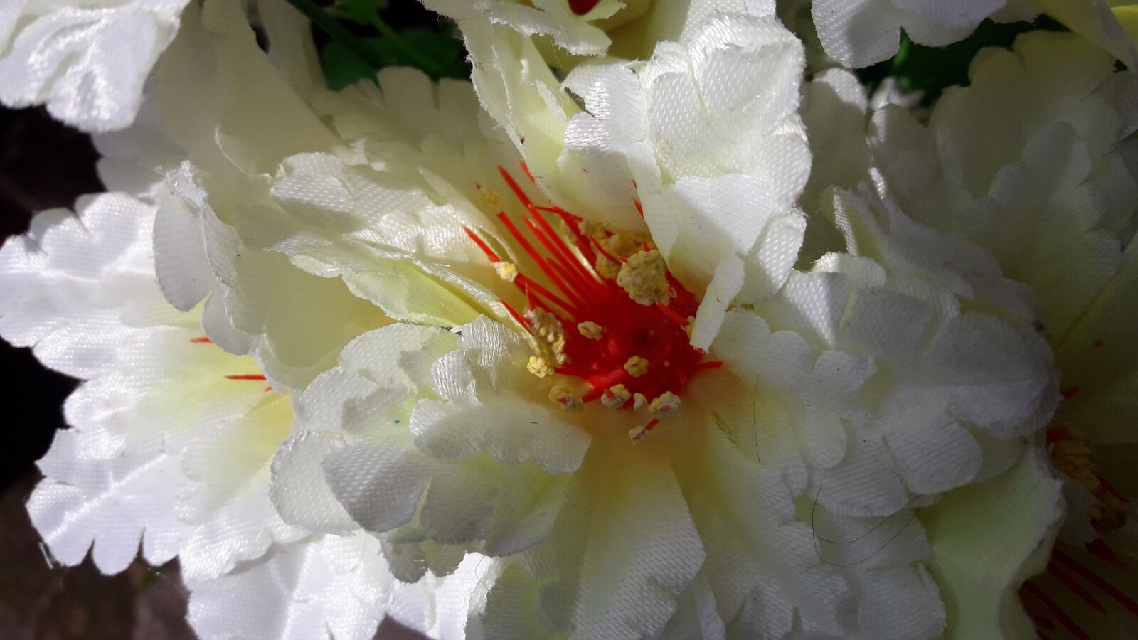 Samsung Galaxy J7 Neo sample photo. Flower images wallpaper, flower photography