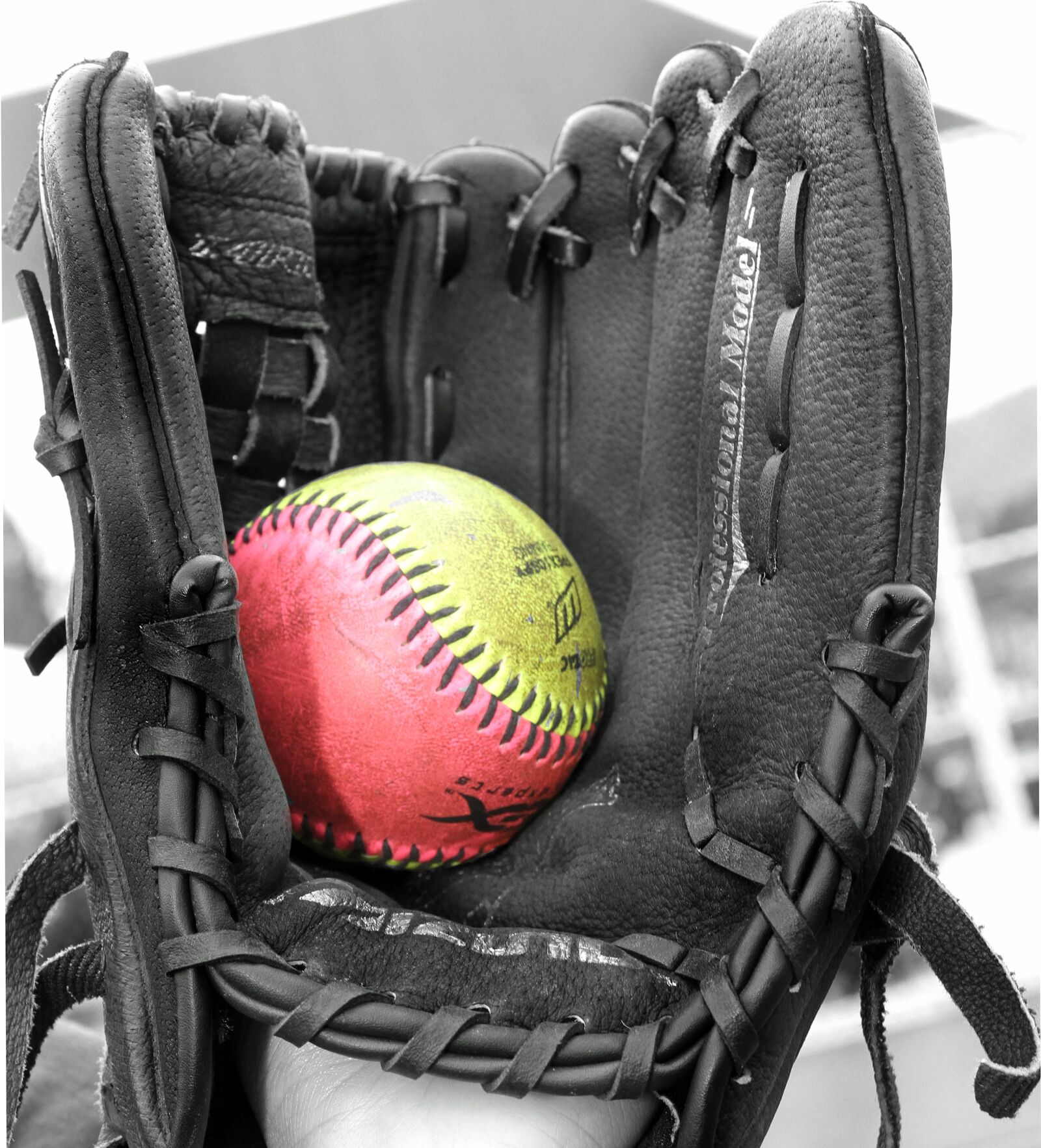 Canon EOS 7D sample photo. Sports, baseball, stadium photography