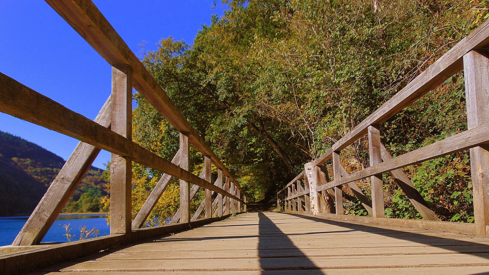 Sony Cyber-shot DSC-H300 sample photo. Bridge, heimbach, autumn photography