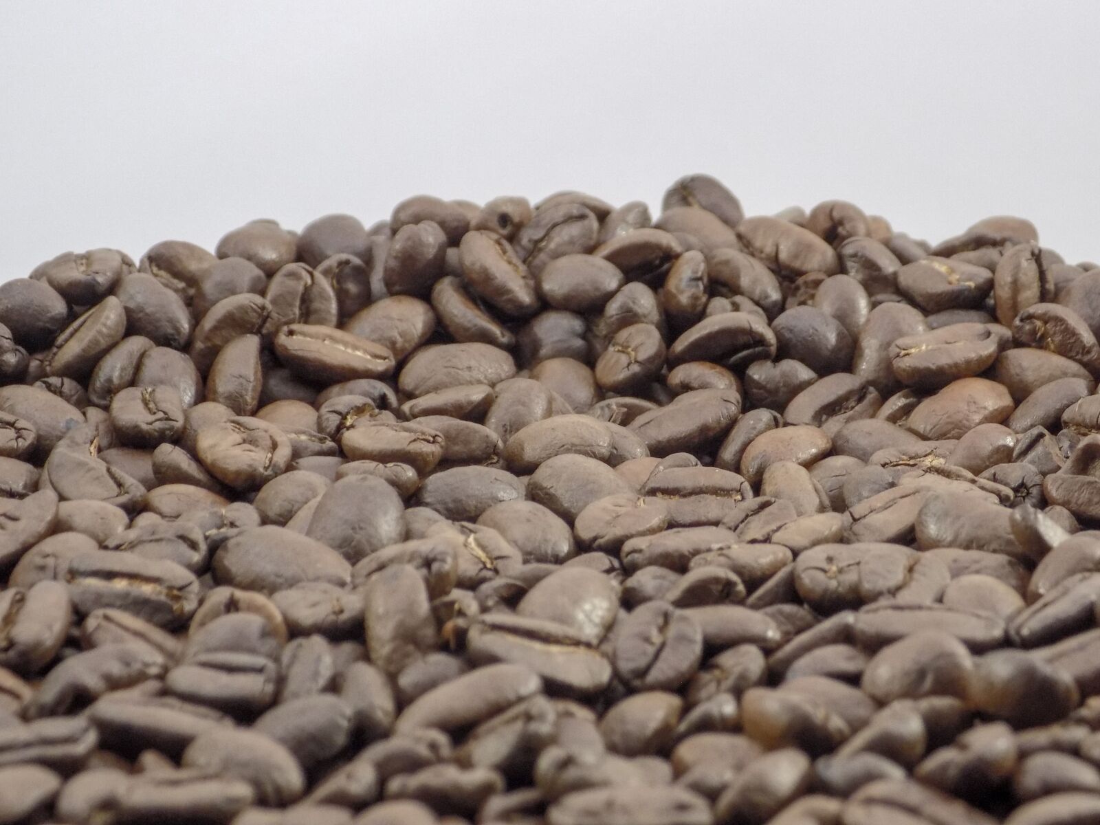 Nikon COOLPIX L330 sample photo. Coffee, grains, black photography