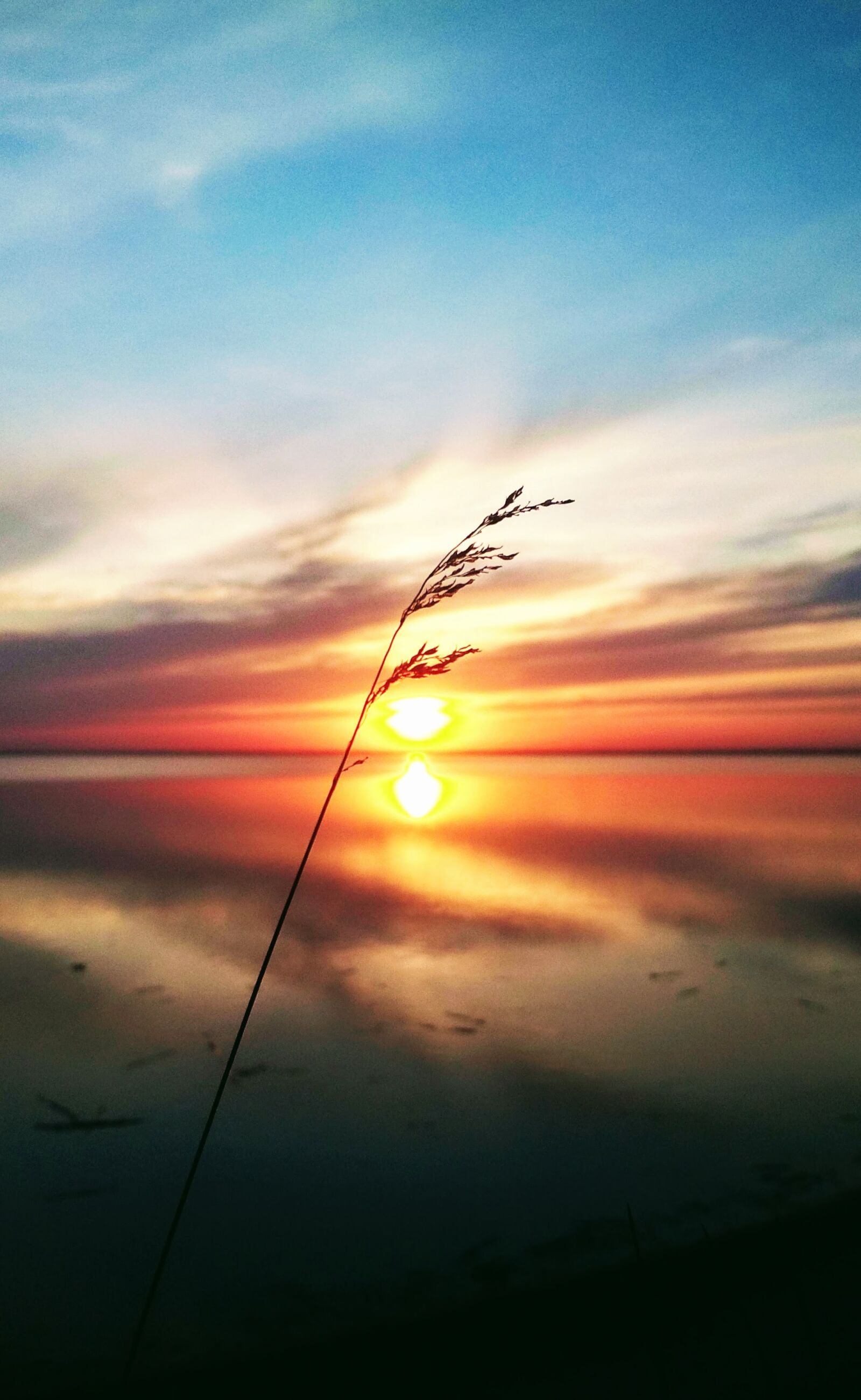 Xiaomi Redmi 4X sample photo. Orange, sunset, landscape photography