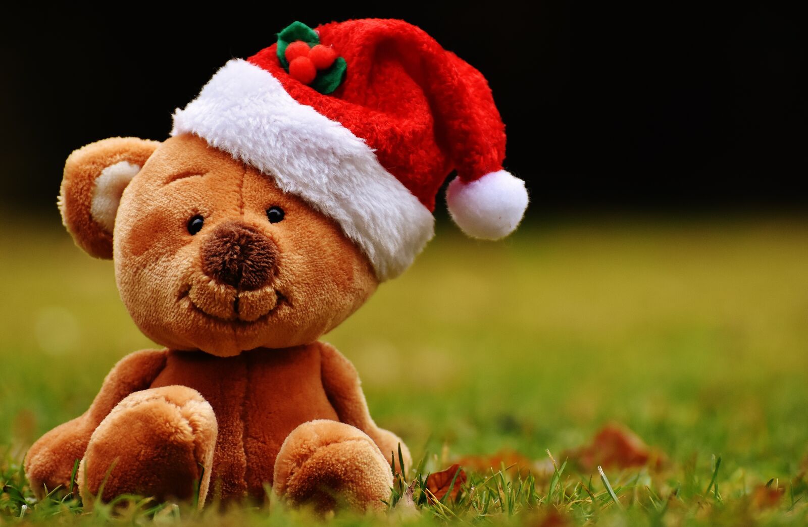 Nikon D7200 sample photo. Christmas, teddy, soft toy photography