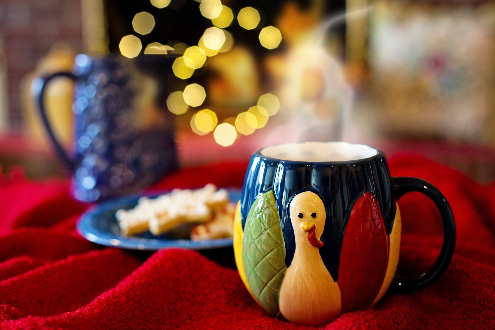 Canon EF 50mm F1.4 USM sample photo. Thanksgiving, mug, hot chocolate photography