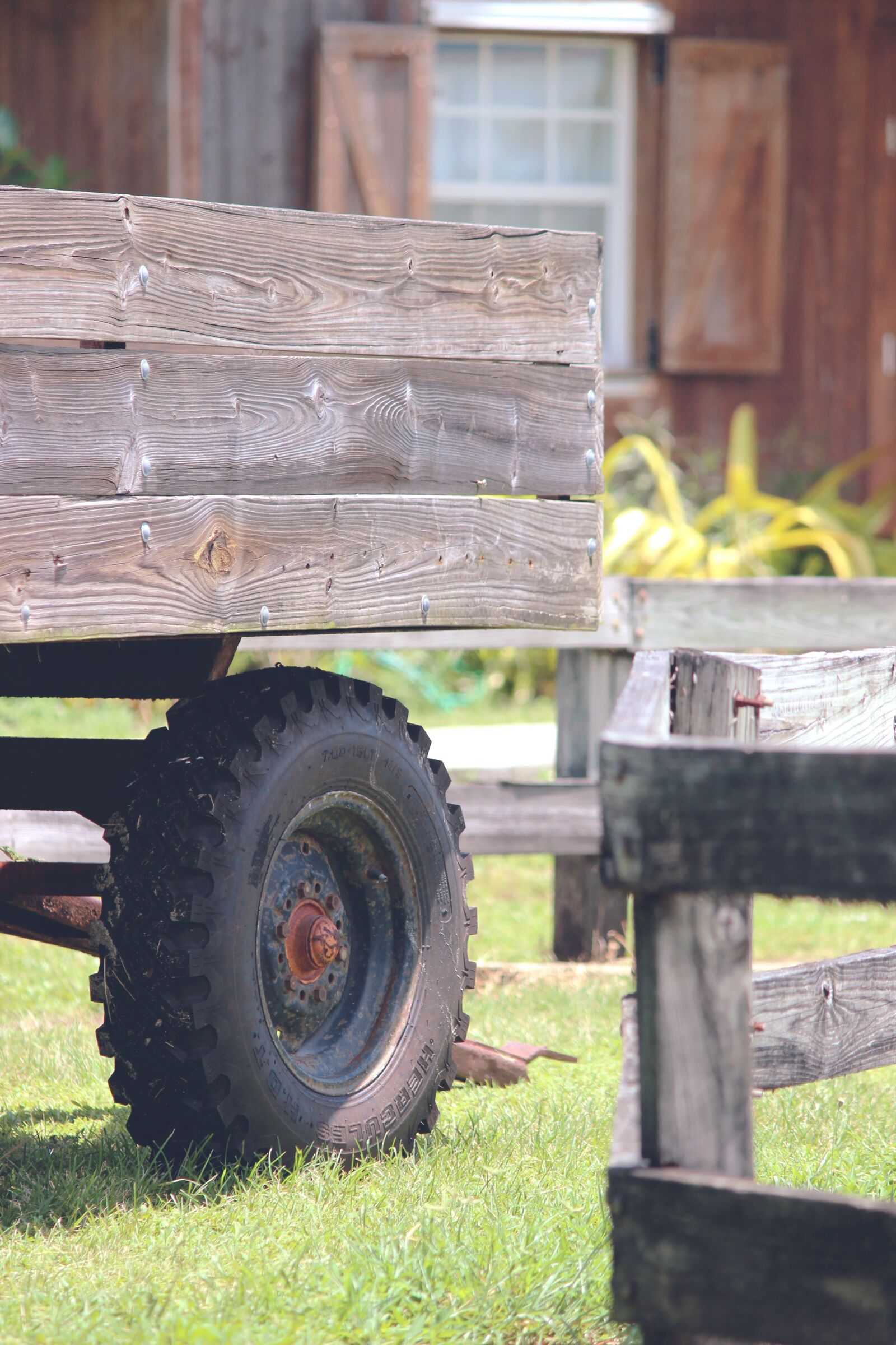 Canon EOS 600D (Rebel EOS T3i / EOS Kiss X5) sample photo. Farm, rural, agriculture photography