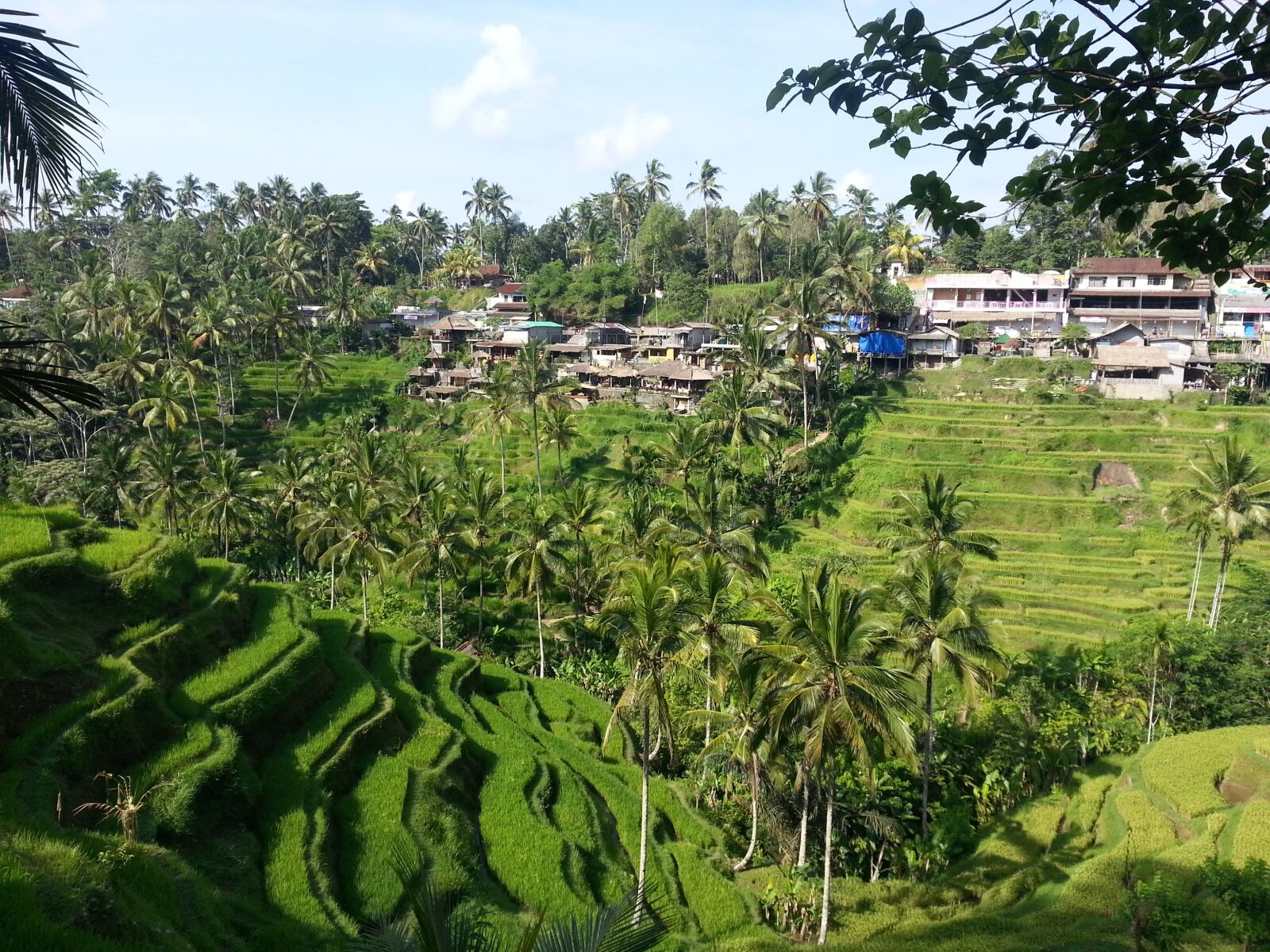 Samsung Galaxy Note2 sample photo. Bali, indonesia, asia photography
