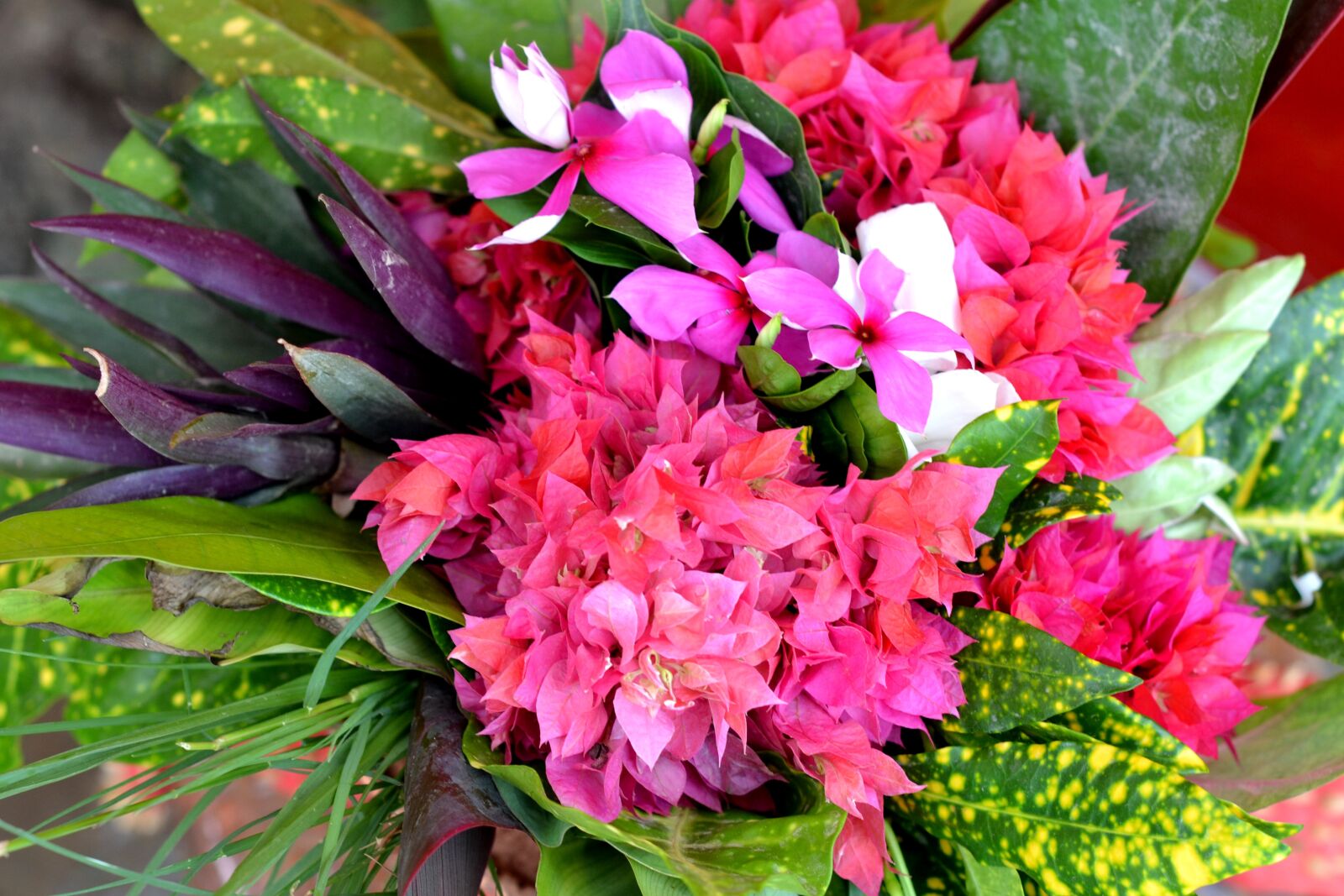 Nikon D3100 sample photo. Flower, pot bouquet, nature photography
