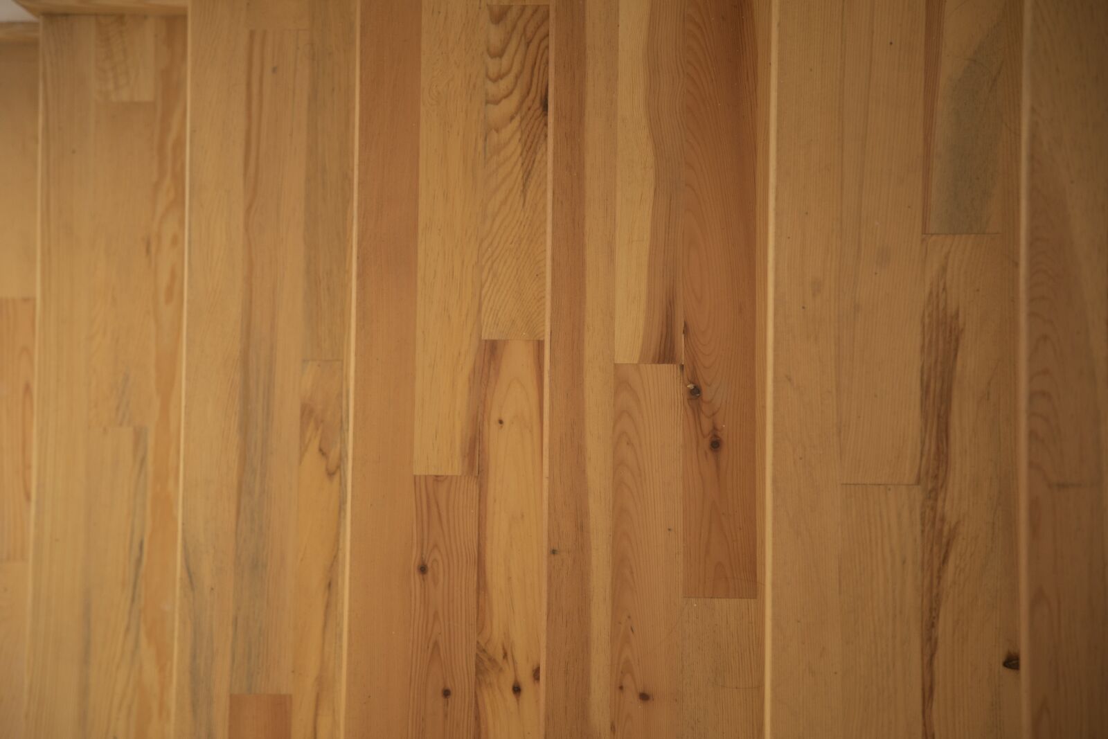 Canon EF 24-105mm F4L IS USM sample photo. Wood, wood-fibre boards, surface photography
