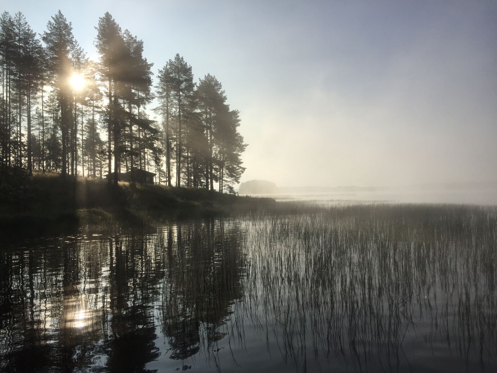Apple iPhone 6 sample photo. Morning, fog, mist photography