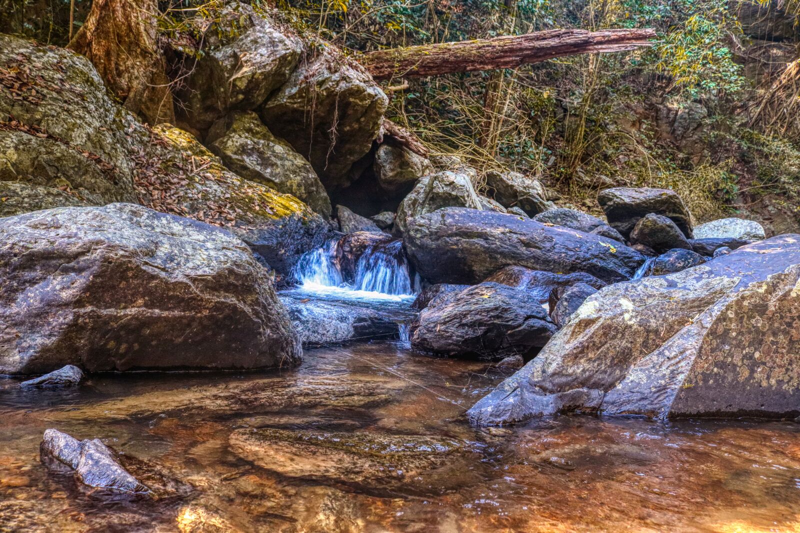 Canon EOS 750D (EOS Rebel T6i / EOS Kiss X8i) sample photo. Water, river, bach photography