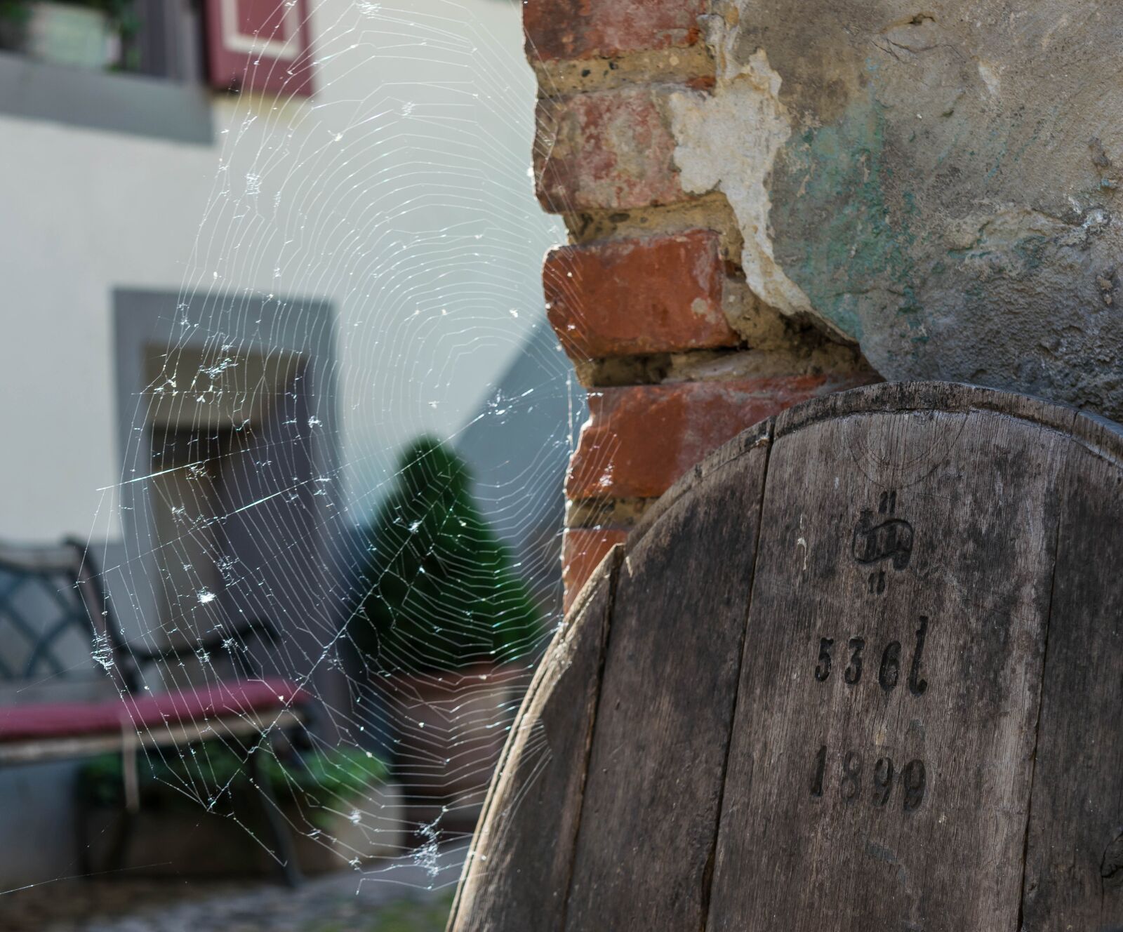 Nikon D3300 sample photo. Cobweb, web, spider photography