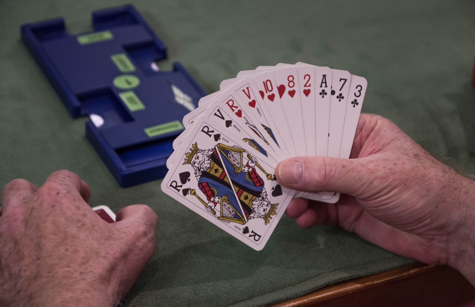 Pentax KP sample photo. Cards, game, player photography