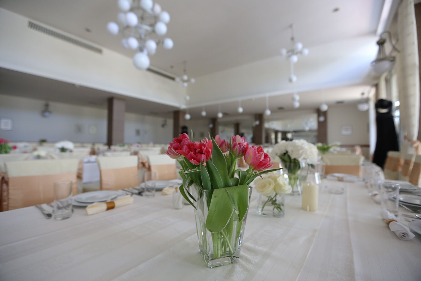 Canon EF 16-35mm F2.8L II USM sample photo. Carnation, flowers, lunchroom, dining photography