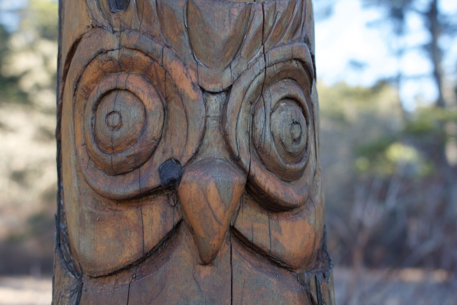Canon EOS 1000D (EOS Digital Rebel XS / EOS Kiss F) sample photo. Sculpture, wooden, wood photography