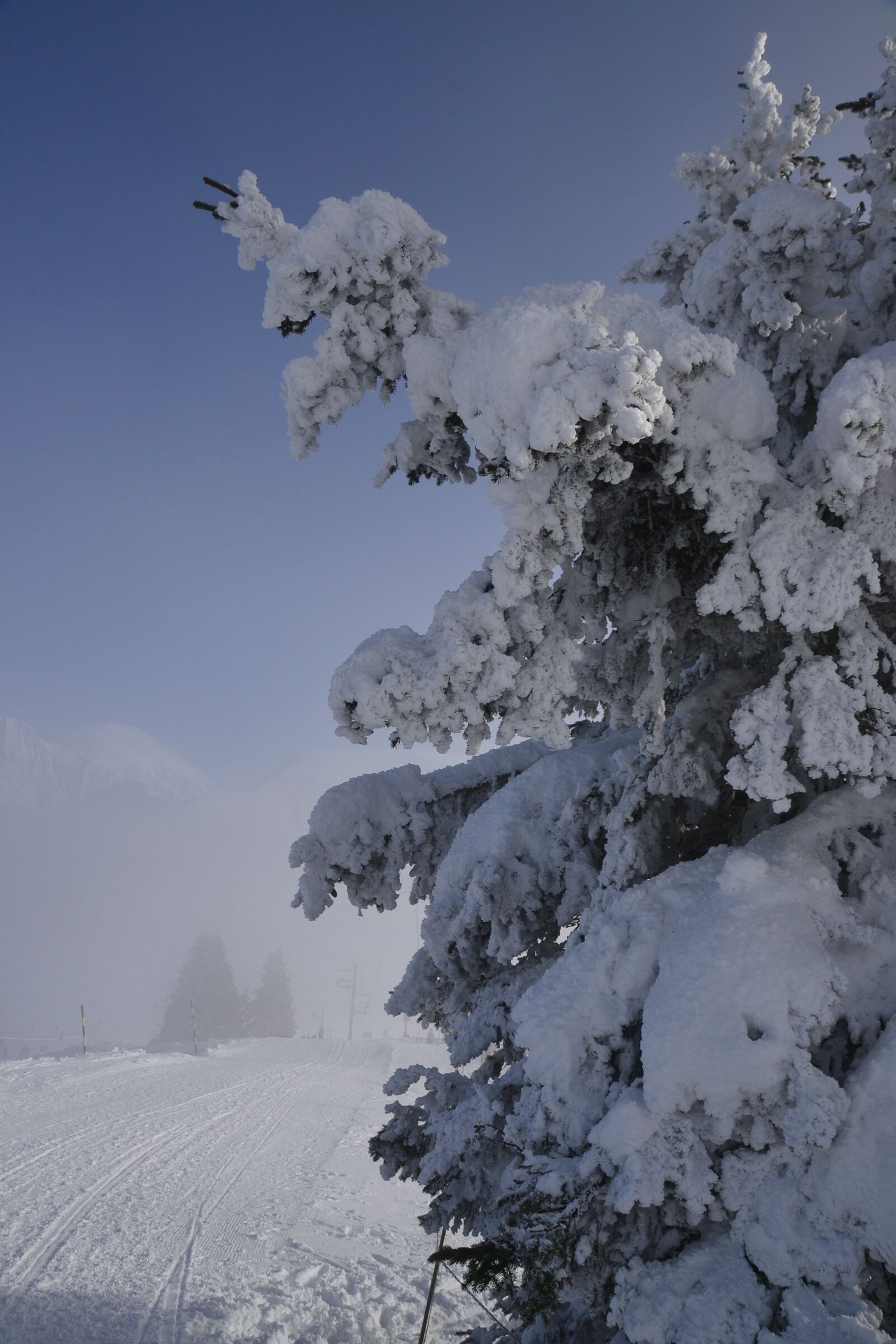 Nikon D3100 sample photo. Ski, alps, snow photography