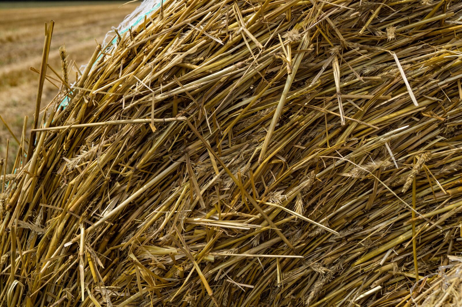 Sony SLT-A37 sample photo. Straw, harvest, agriculture photography