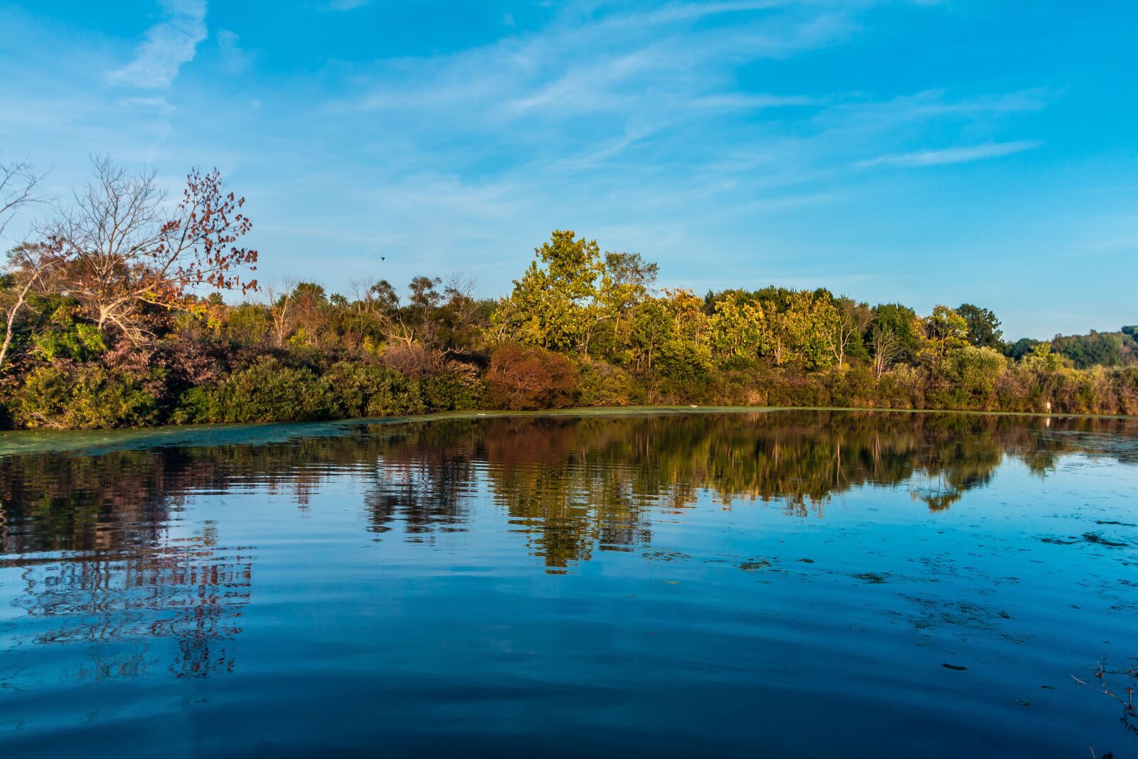 Canon EOS 70D + Canon EF-S 10-18mm F4.5–5.6 IS STM sample photo. Lake, blue, trees photography
