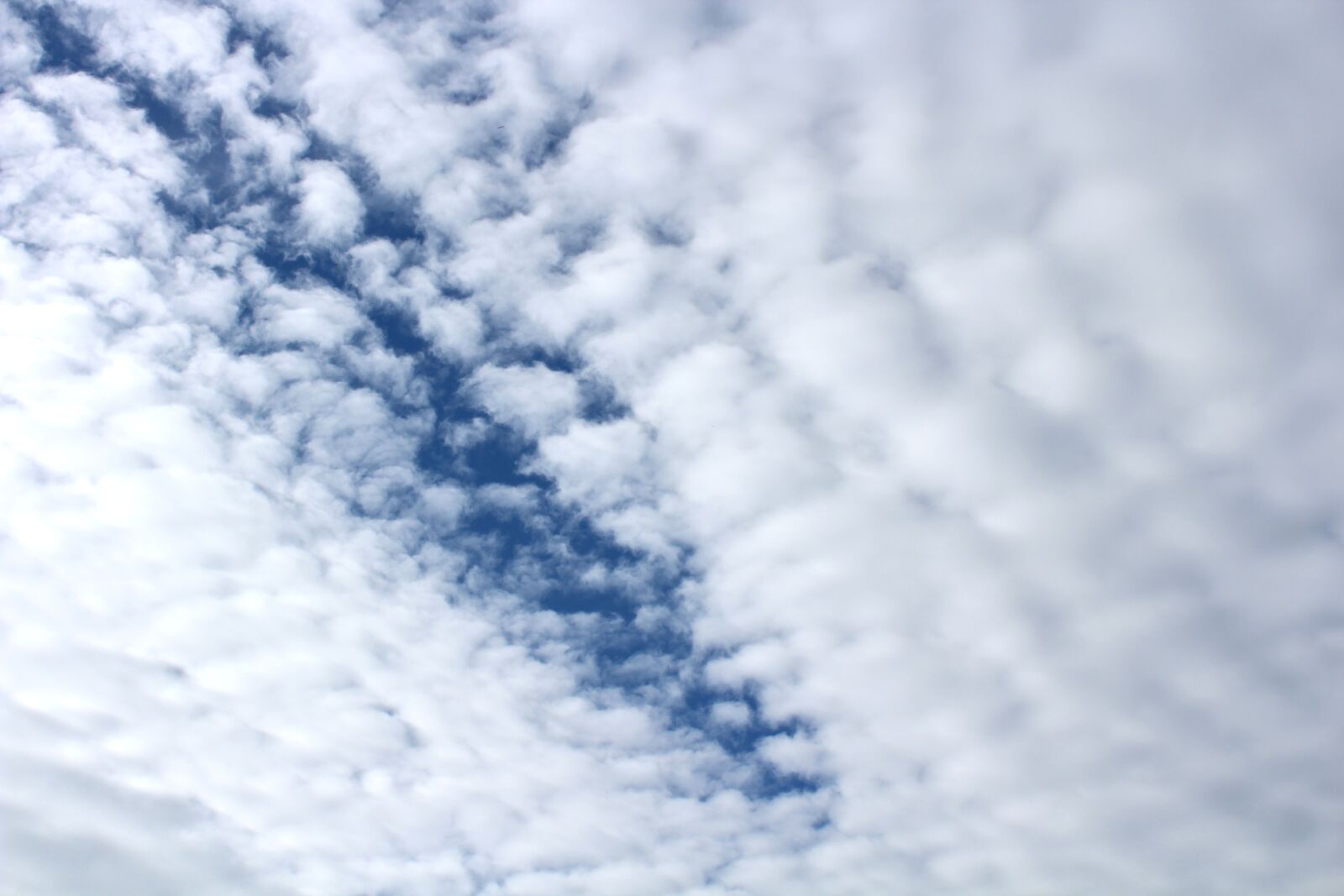 Canon EOS 1300D (EOS Rebel T6 / EOS Kiss X80) sample photo. Clouds, blue white, clouds photography