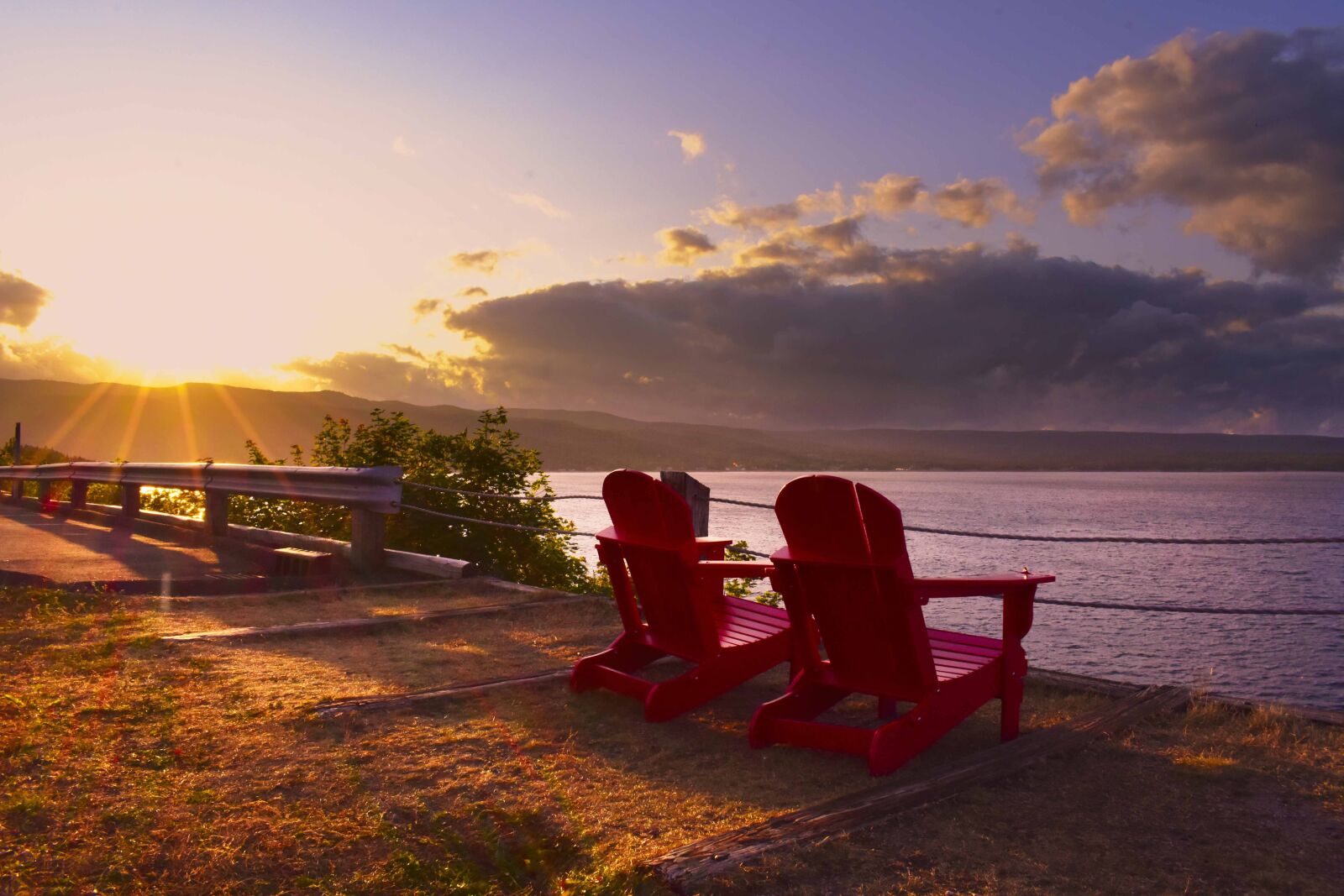 Nikon D3400 sample photo. Sunlight, park, canada photography