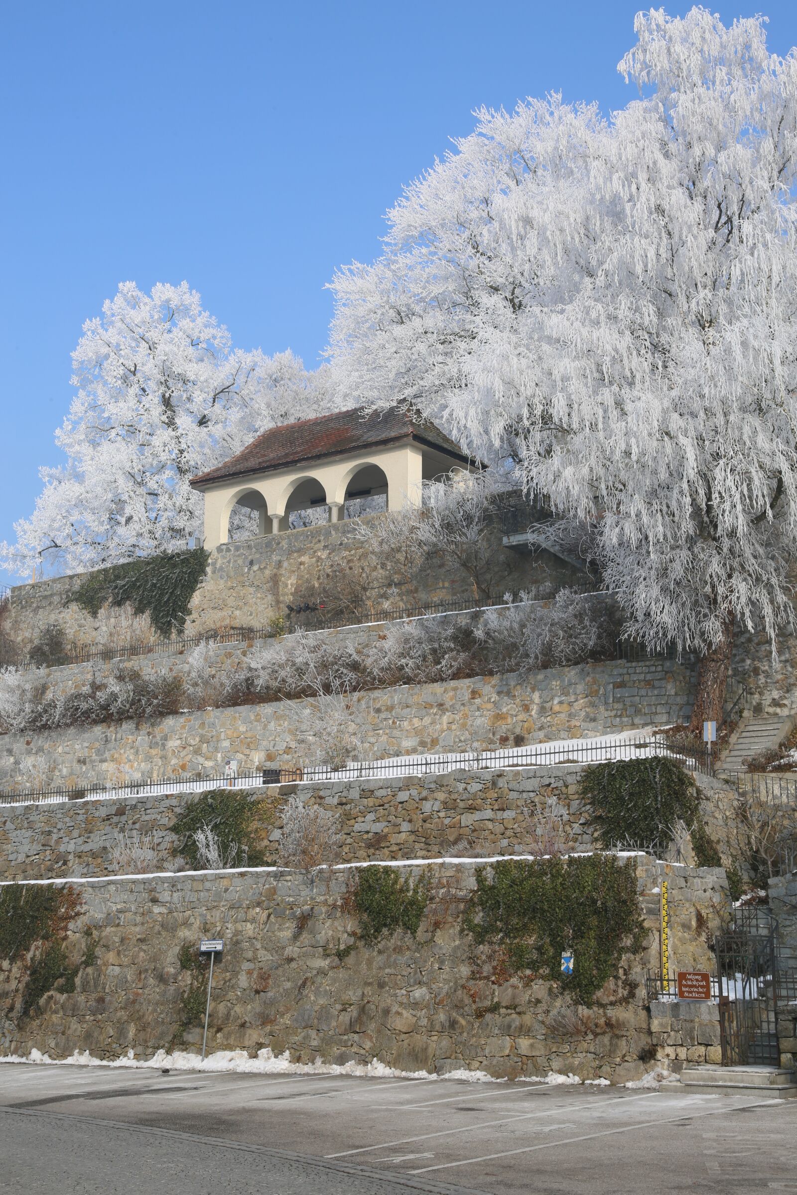 Canon EF 24-105mm F4L IS USM sample photo. Hoarfrost, cold, ripe photography