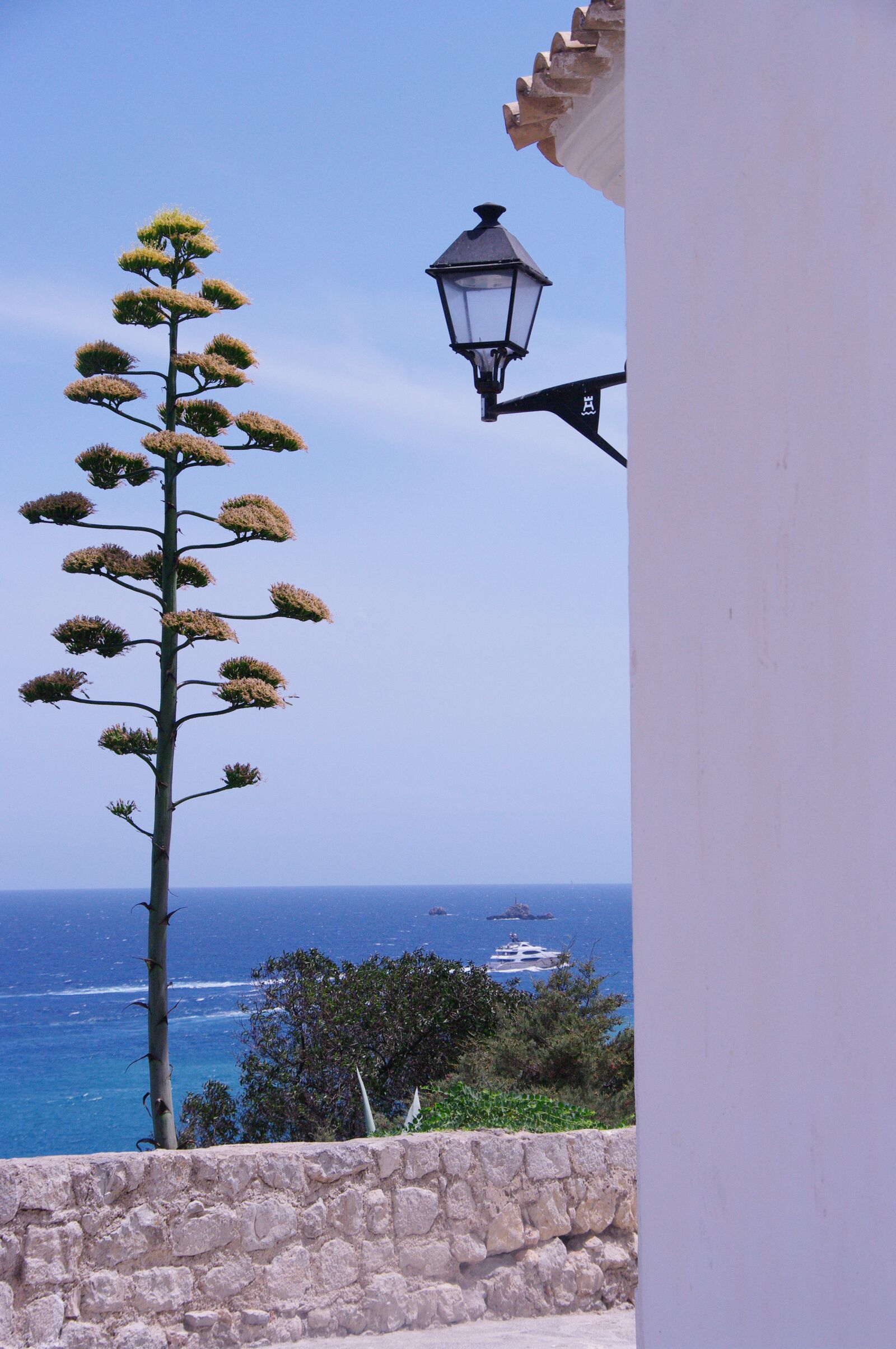 Pentax K20D sample photo. Ibiza, sea, tree photography