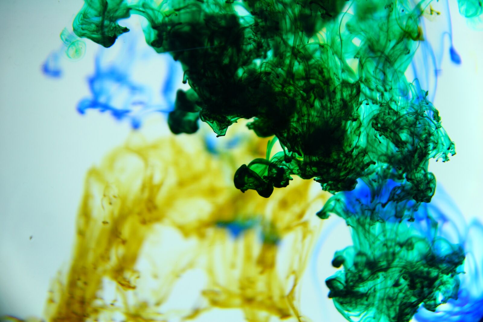 Canon EOS 1000D (EOS Digital Rebel XS / EOS Kiss F) sample photo. Ink, water, paint photography