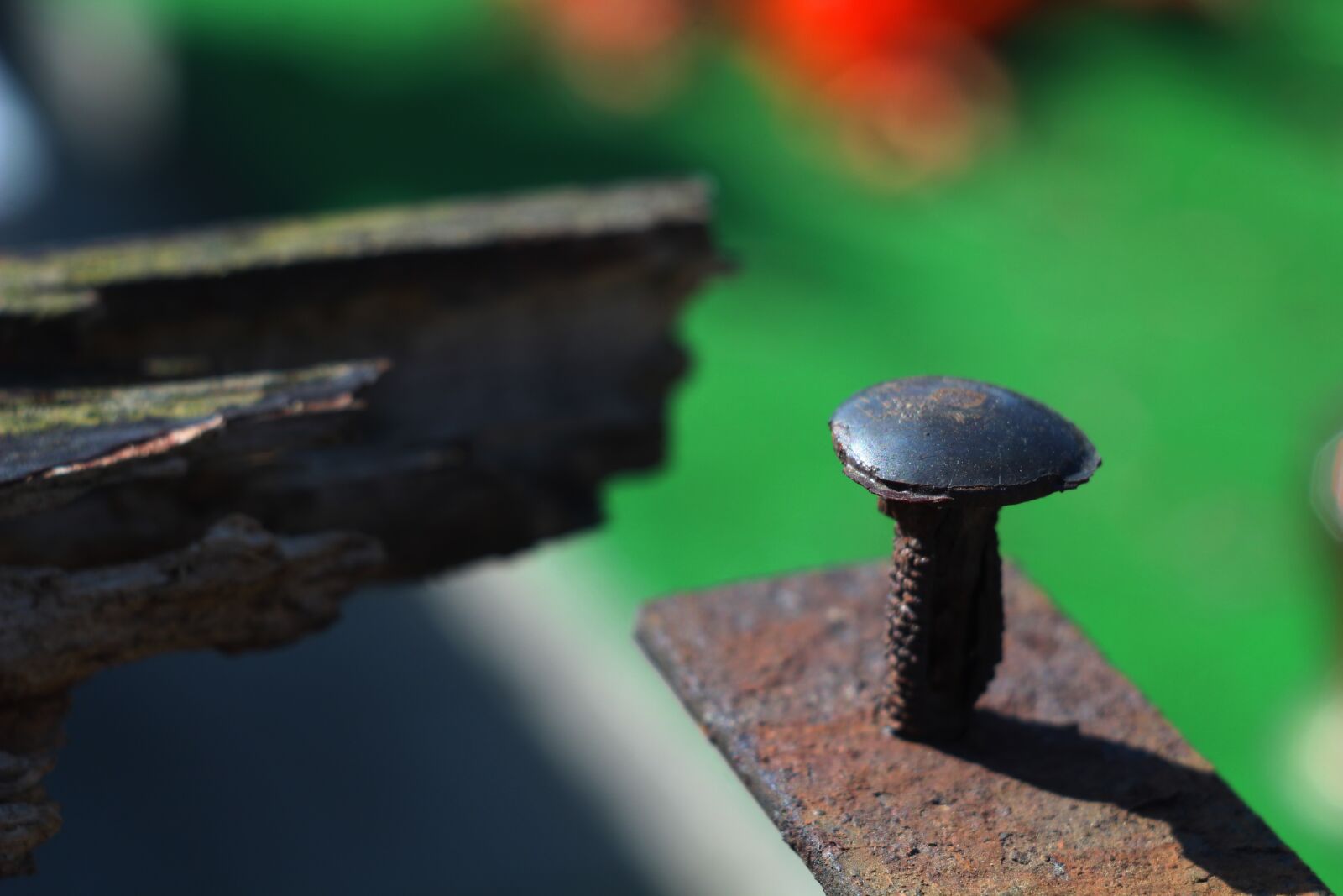 Canon EOS 1200D (EOS Rebel T5 / EOS Kiss X70 / EOS Hi) sample photo. Screw, rust, metal photography