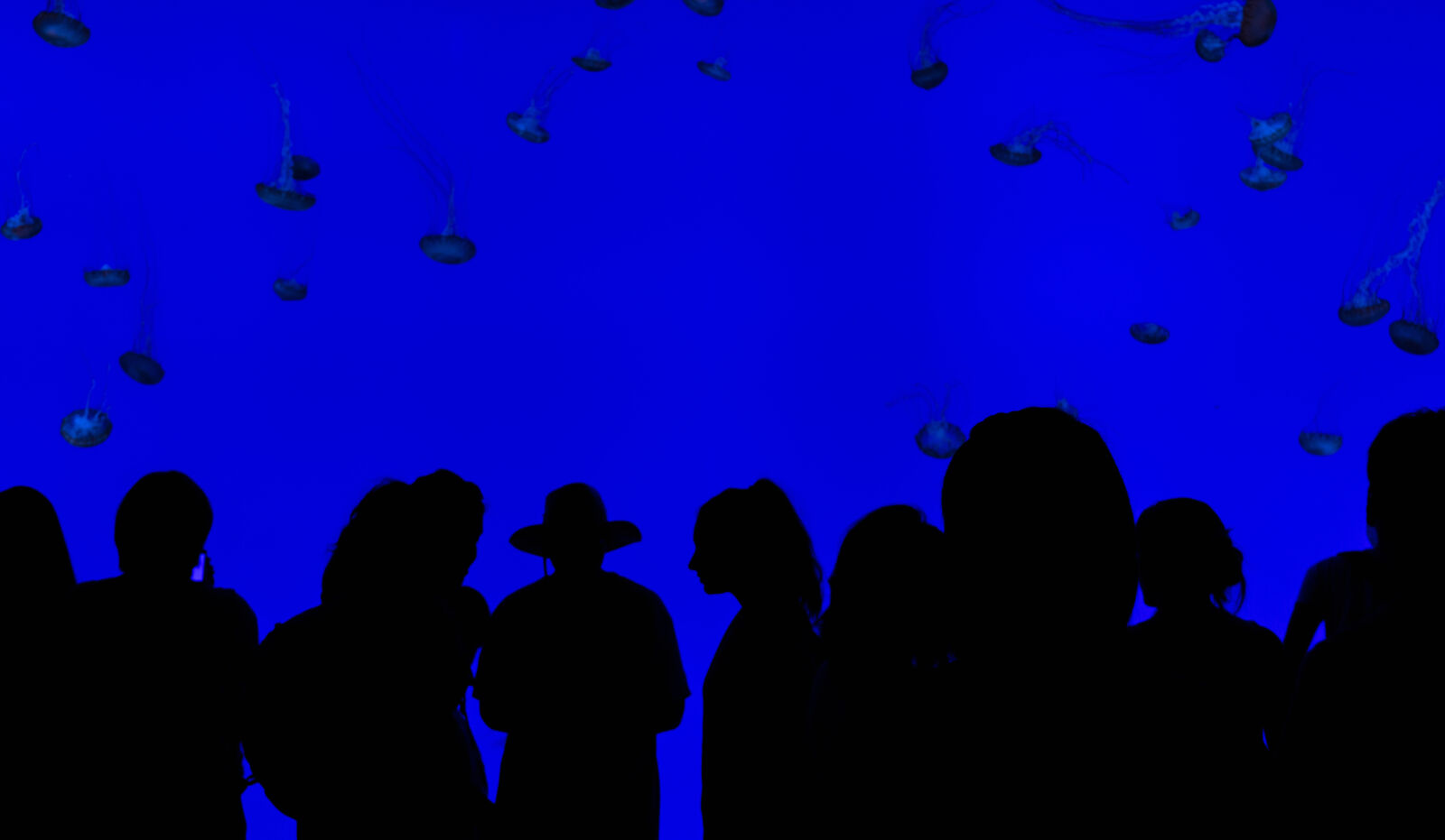 Sony a7 II + Sony FE 28-70mm F3.5-5.6 OSS sample photo. People, blue, crowd, group photography