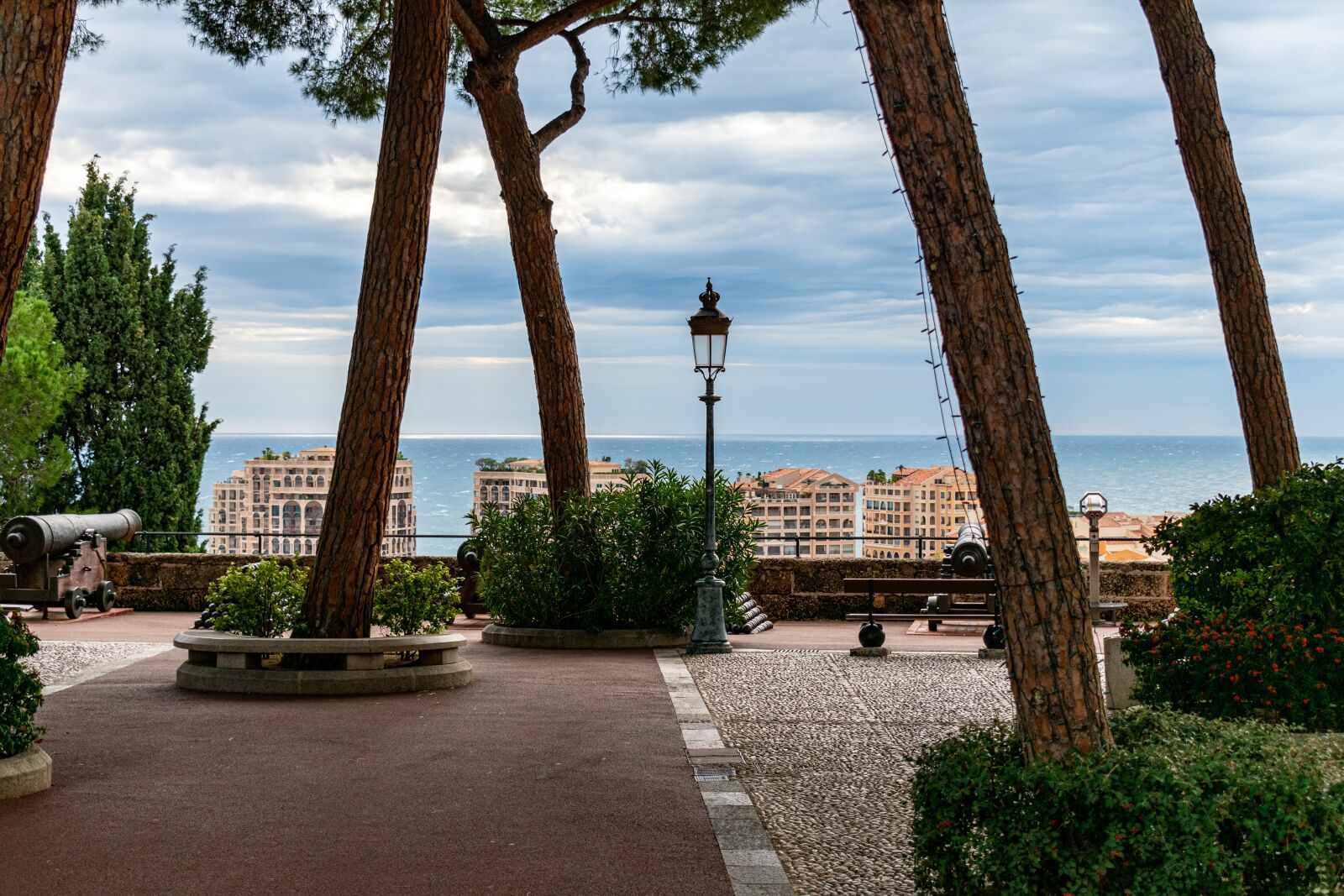 Nikon D5600 sample photo. Park, trees, sea photography