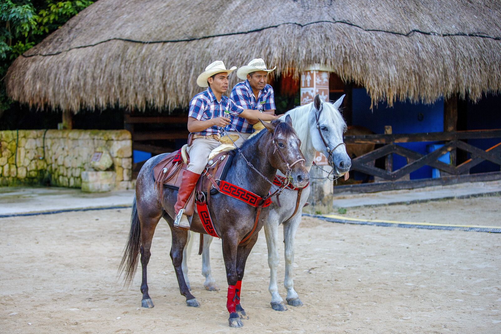 Canon EOS-1D X sample photo. Cowboy, mexico, rider photography
