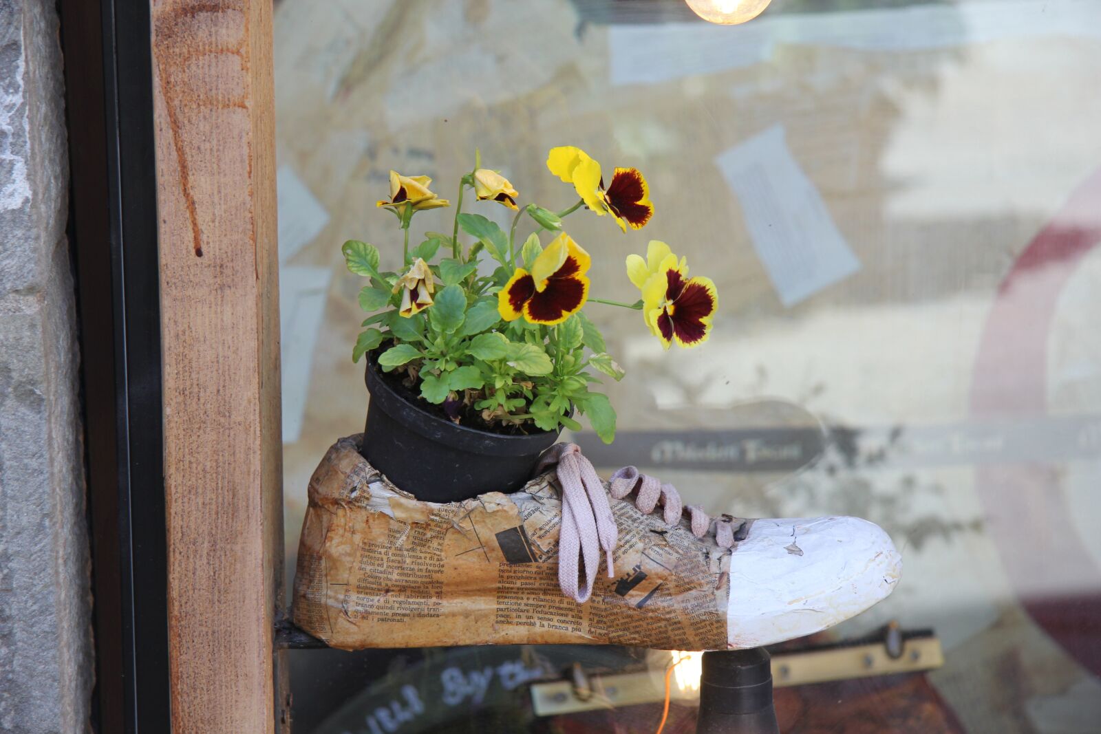 Canon EOS 550D (EOS Rebel T2i / EOS Kiss X4) sample photo. Travel, italy, tuscany photography