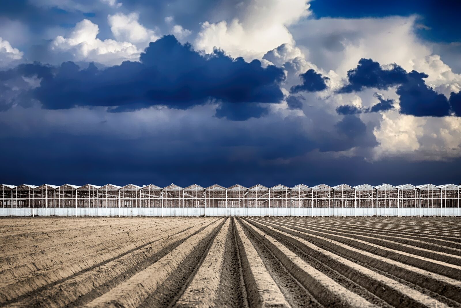 Nikon D600 sample photo. Greenhouse, farming, agriculture photography