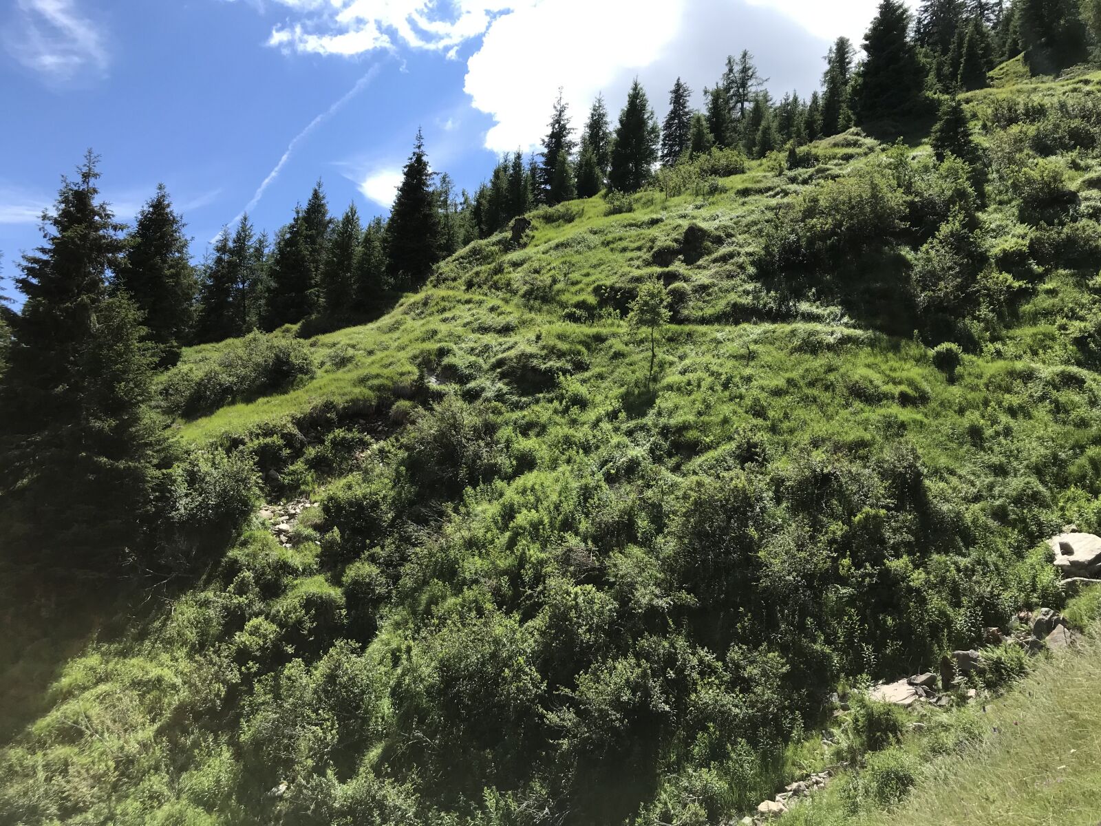 iPhone 7 back camera 3.99mm f/1.8 sample photo. Towards landarenca, alpine route photography
