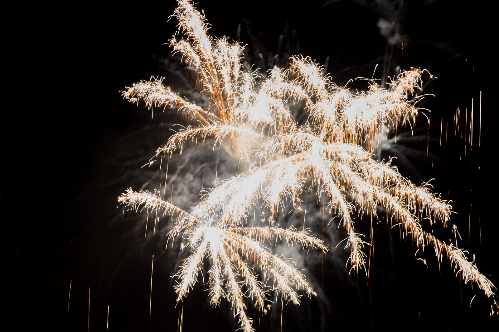 Canon EOS 6D + Canon EF 24-105mm F4L IS USM sample photo. Fireworks, switzerland, national day photography