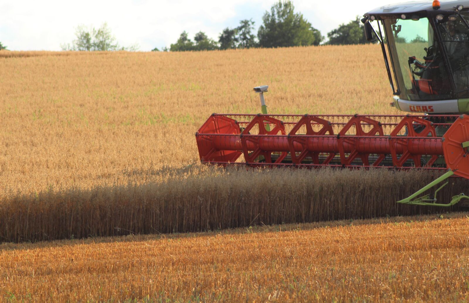Canon EOS 700D (EOS Rebel T5i / EOS Kiss X7i) sample photo. Thresh, harvest, agricultural photography