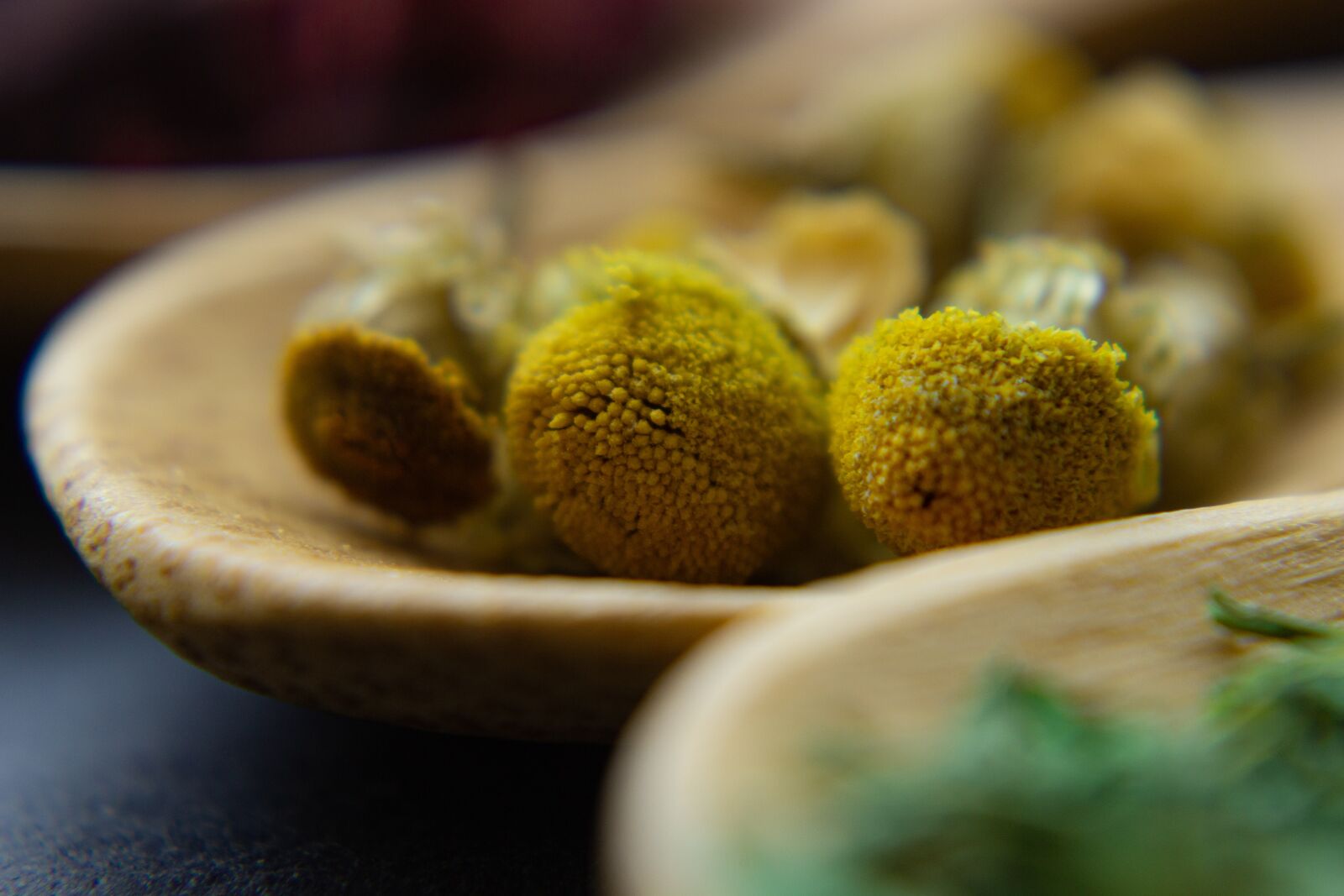 Canon EOS 600D (Rebel EOS T3i / EOS Kiss X5) sample photo. Chamomile, herbs, flower photography