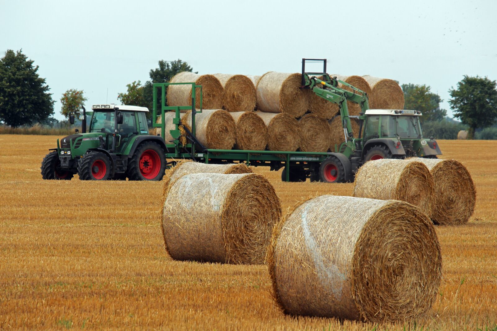 Canon EF-S 55-250mm F4-5.6 IS STM sample photo. Harvest, straw, hay photography