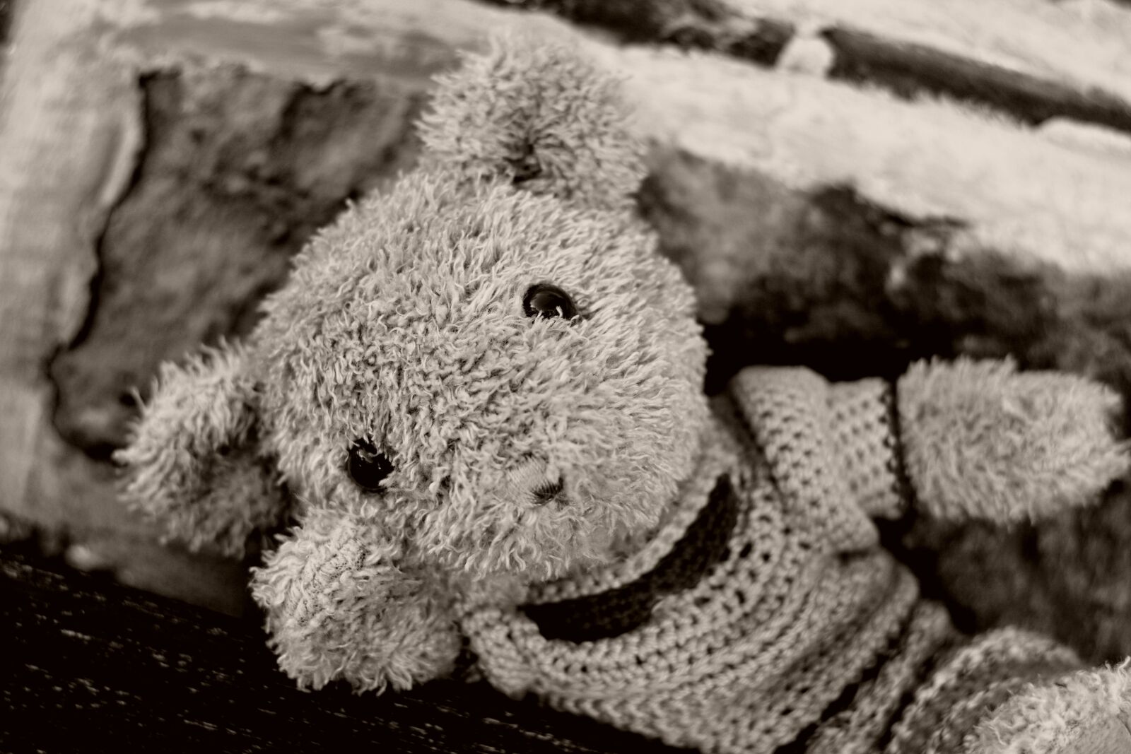 Nikon D5200 sample photo. Teddy teddy bear, bears photography