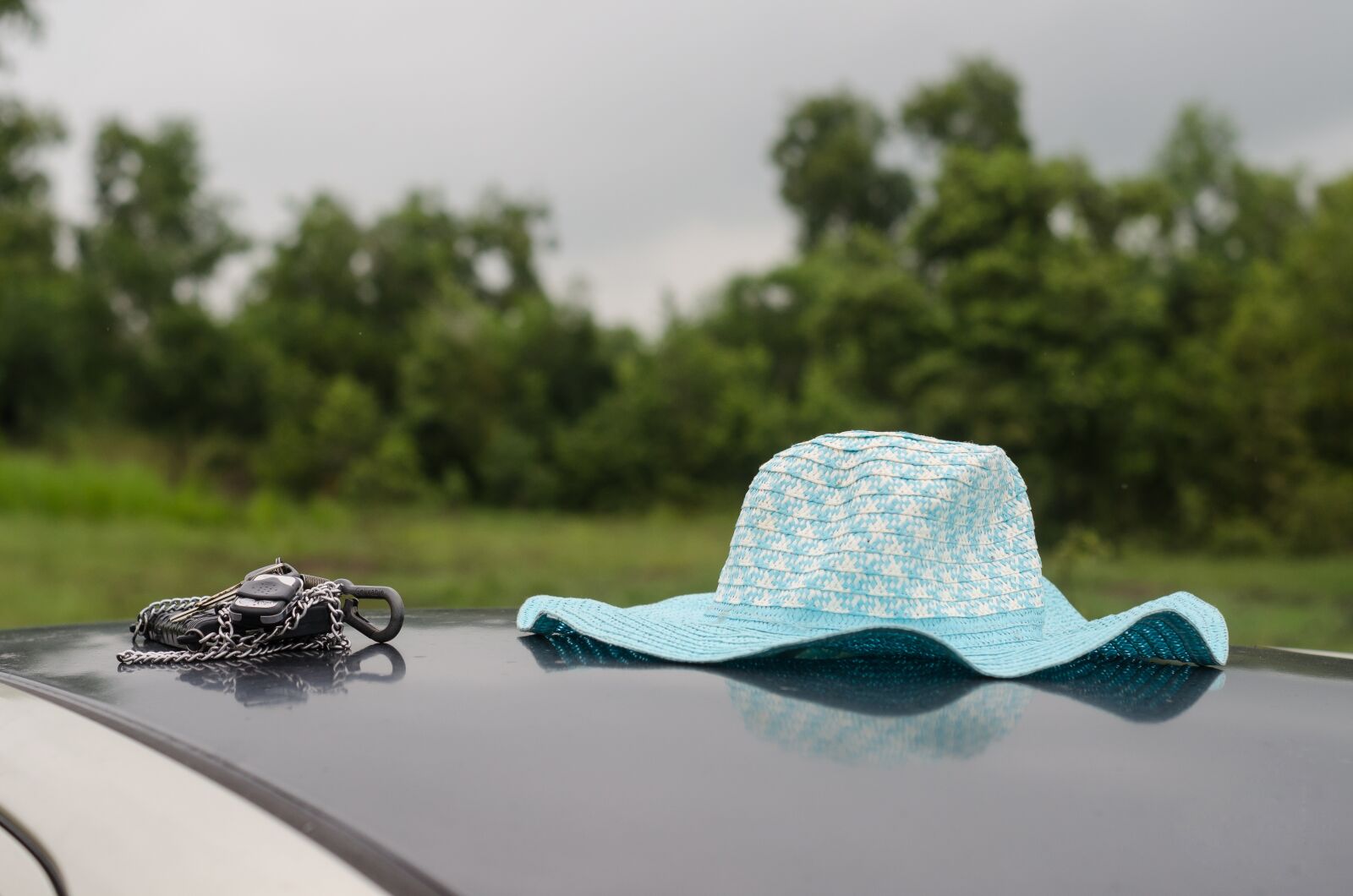 Nikon D5100 sample photo. Hat, car, nature photography