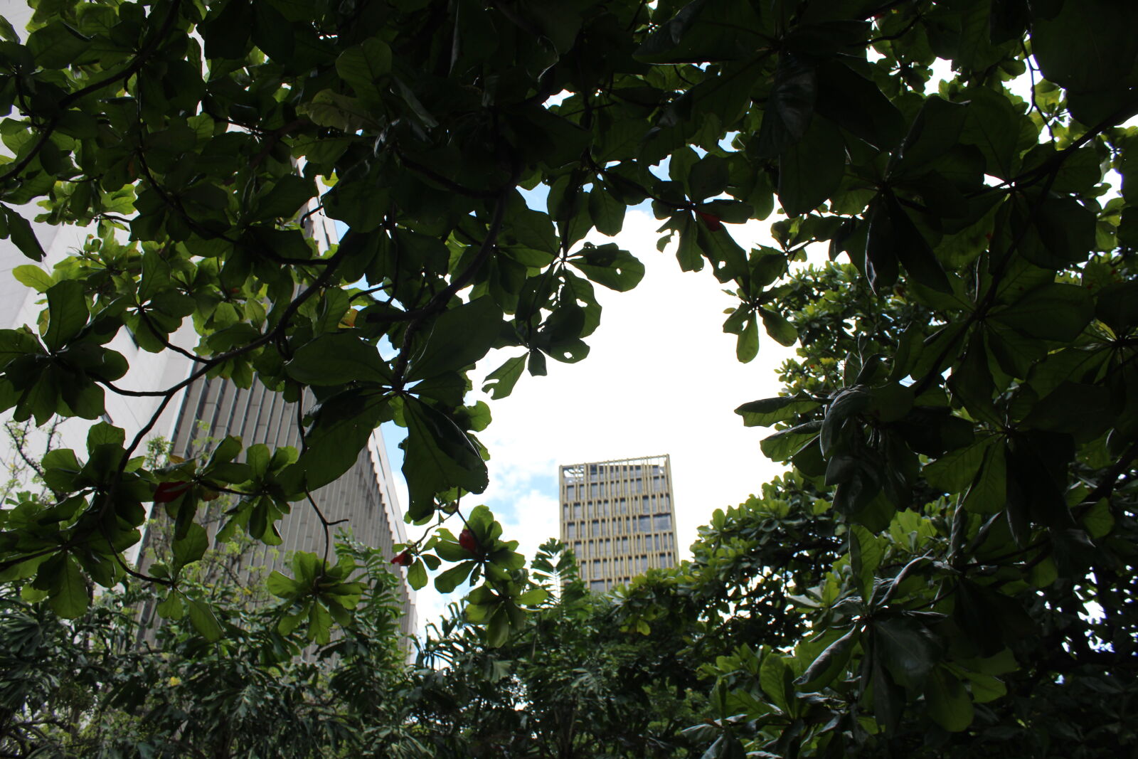 Canon EOS 1300D (EOS Rebel T6 / EOS Kiss X80) sample photo