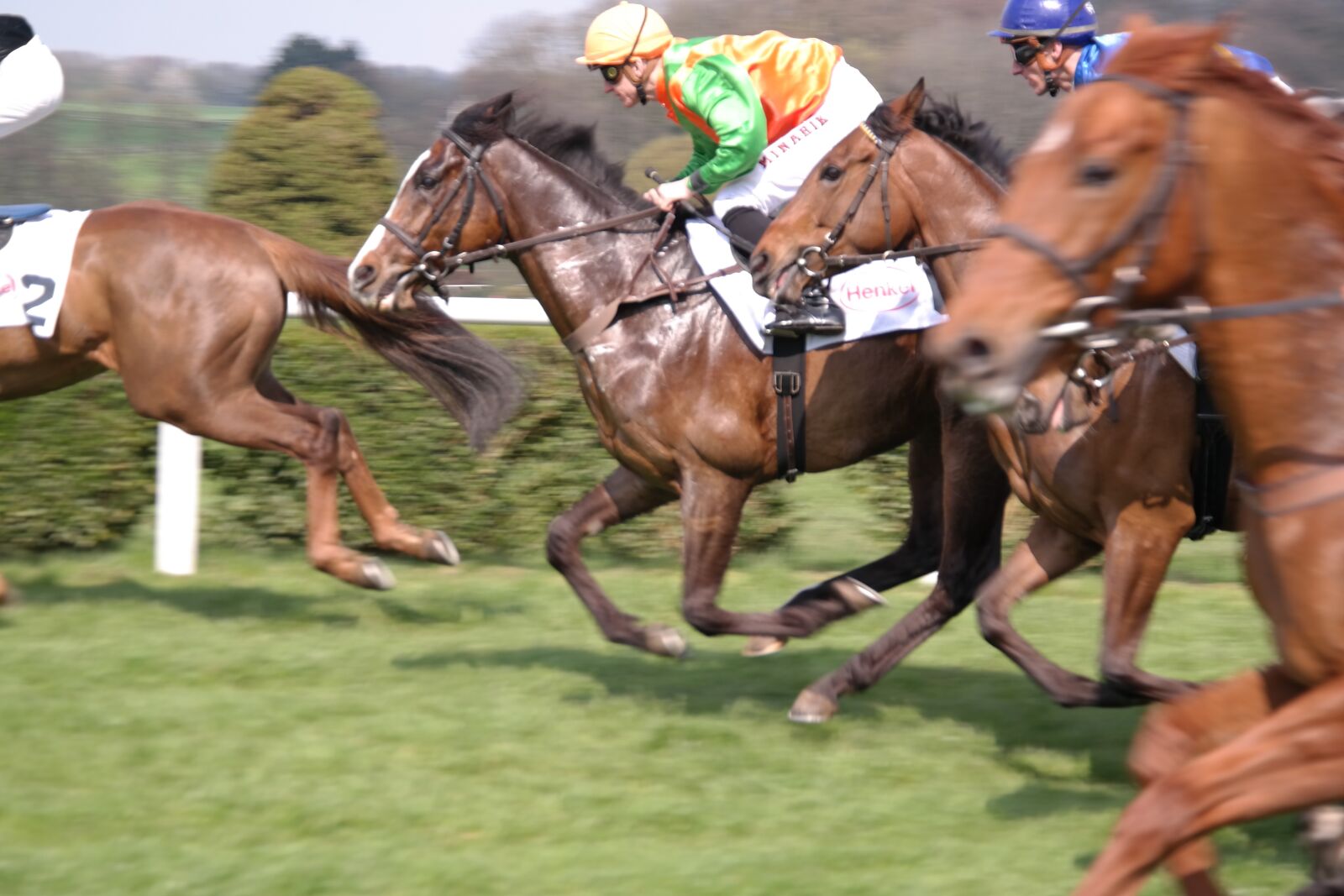 Samsung NX300 sample photo. Horse racing, horses, equestrian photography