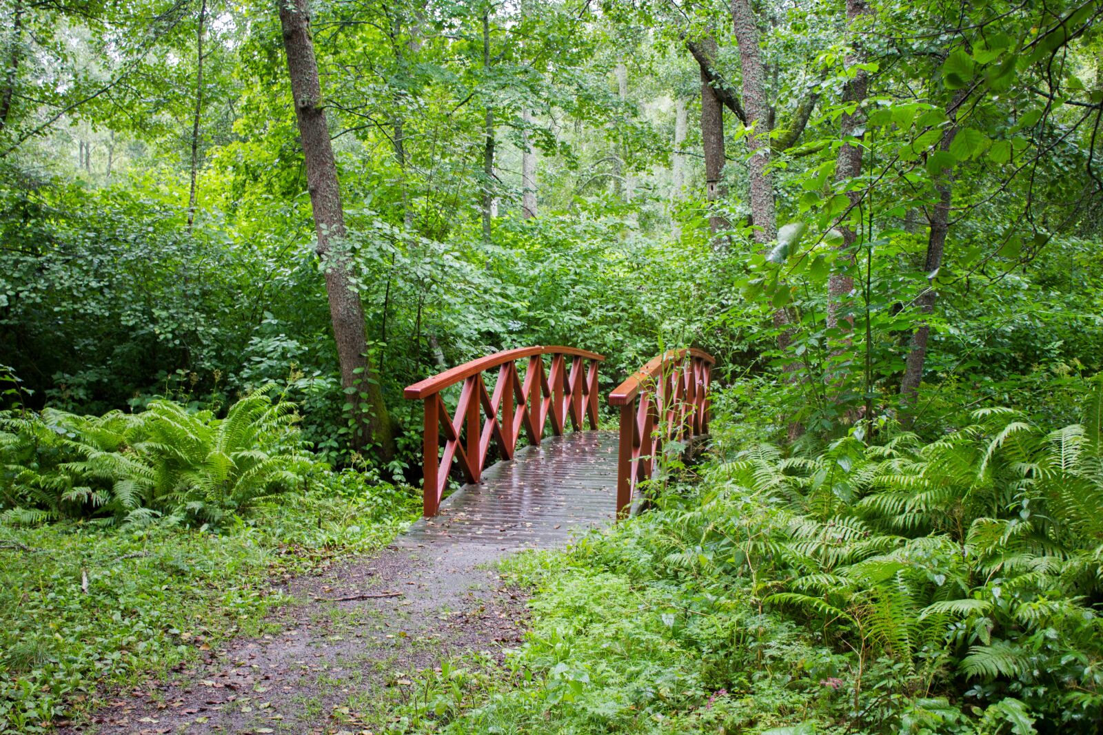 Canon EF-S 18-55mm F3.5-5.6 IS sample photo. Bridge, red, green photography
